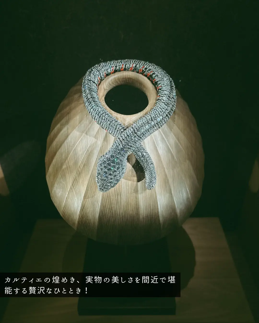 見逃し厳禁！】カルティエと日本の50年 | ジジブ【展覧会／イベント 