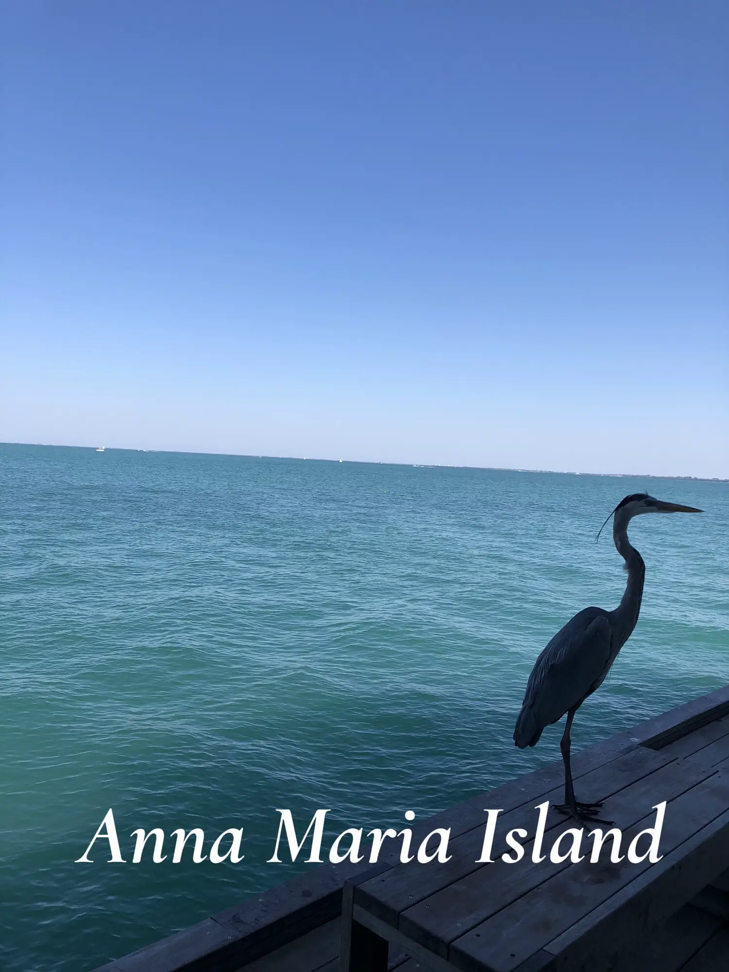 20 top Best Places to Visit on Anna Maria Island ideas in 2024