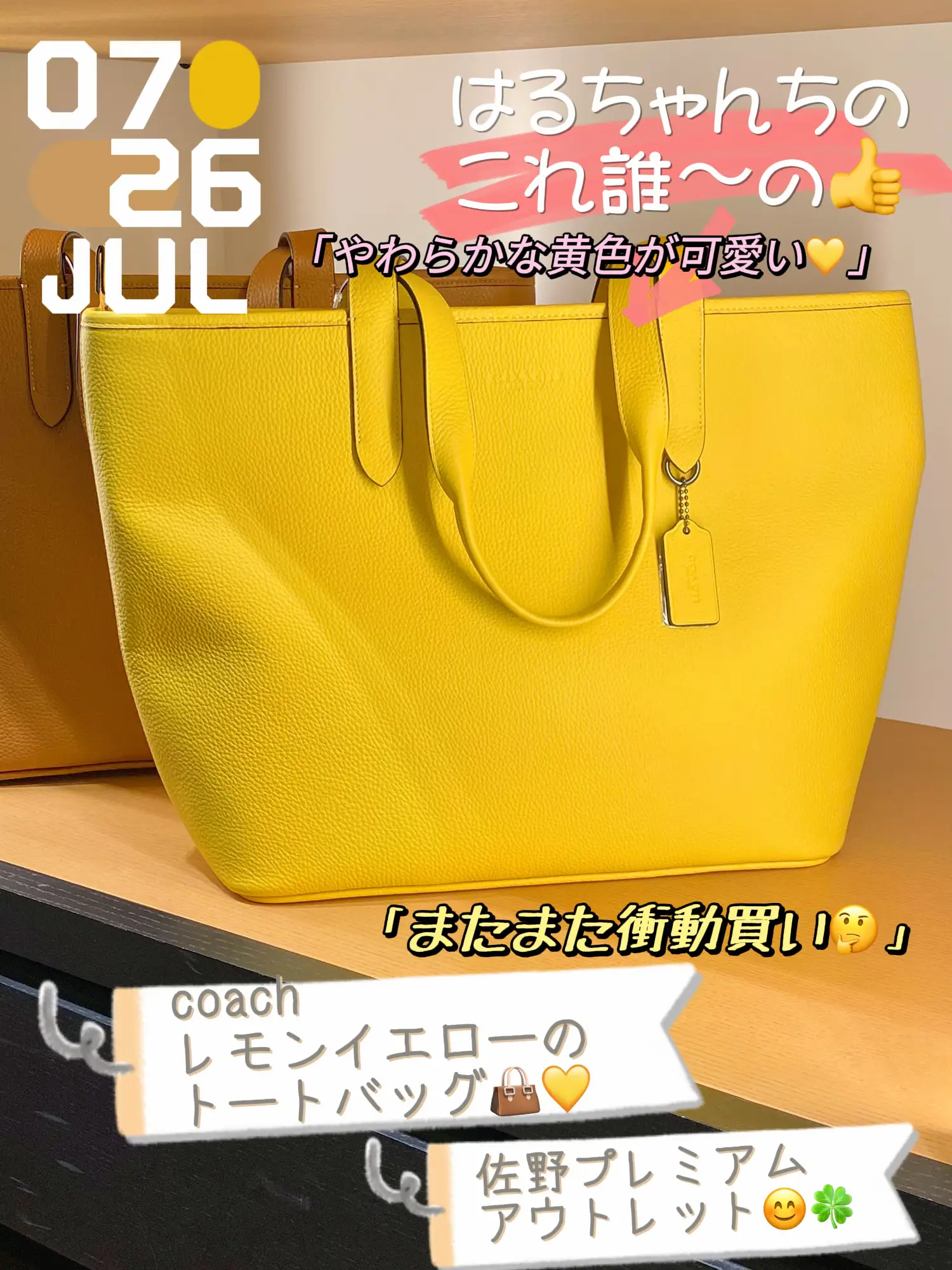 COACH コーチ佐野プレミアムアウトレットで購入 - 長財布