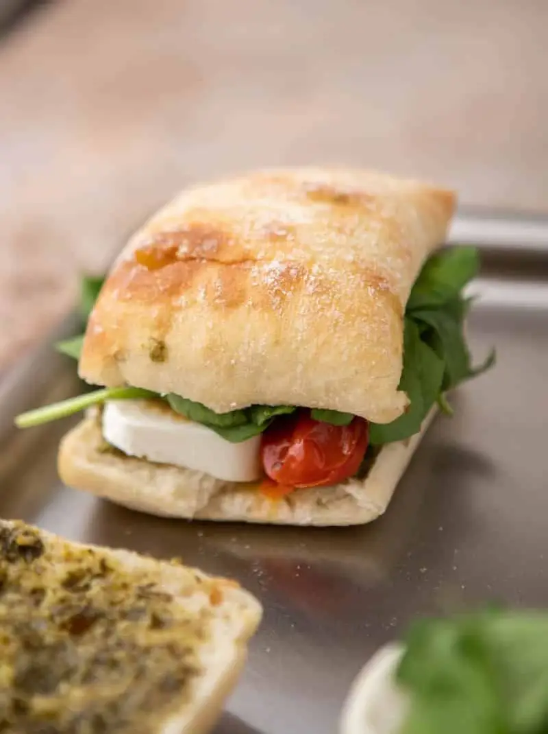 Starbucks Tomato and Mozz Panini Lemon8 Search