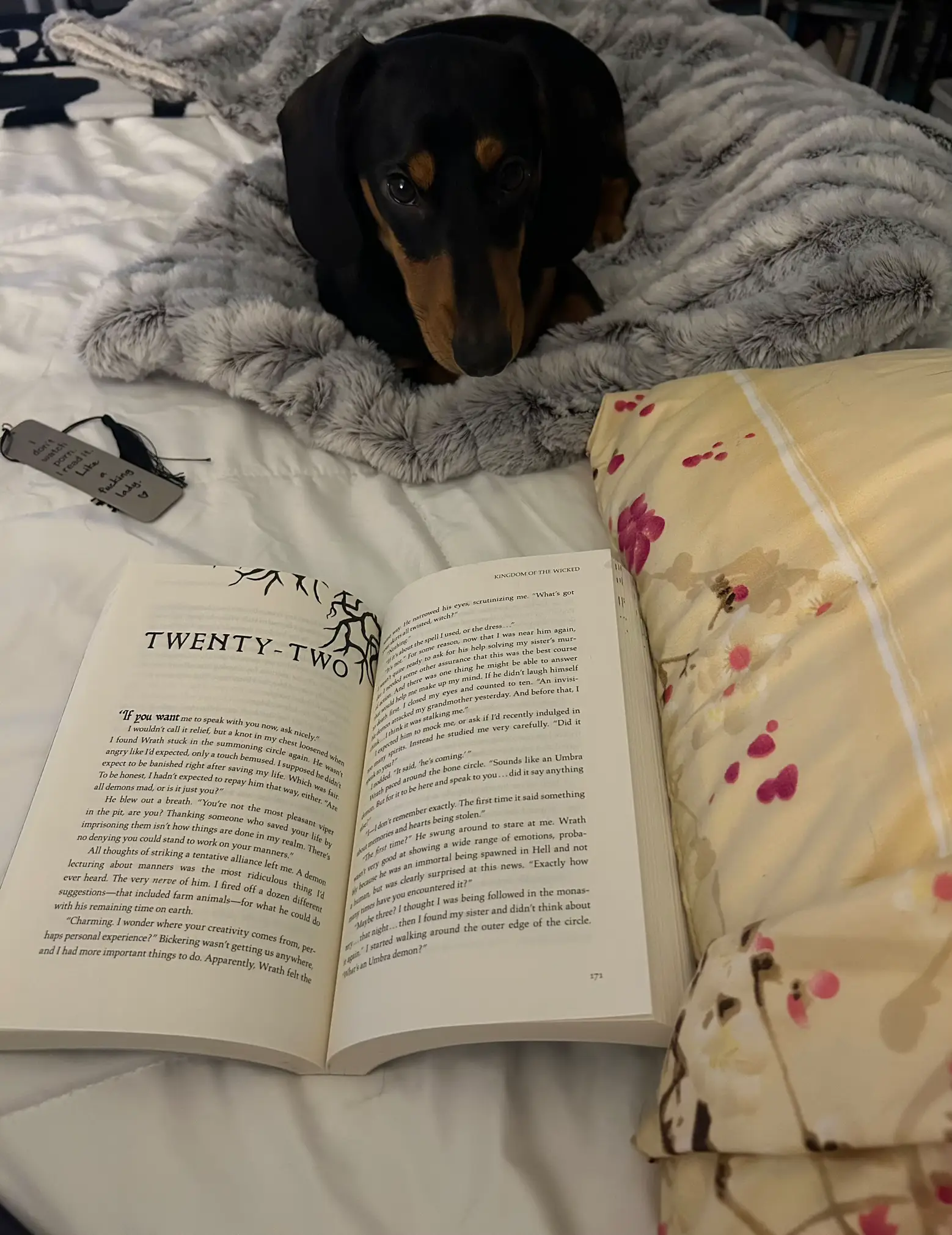 My reading buddy | Gallery posted by JessiCole615 | Lemon8