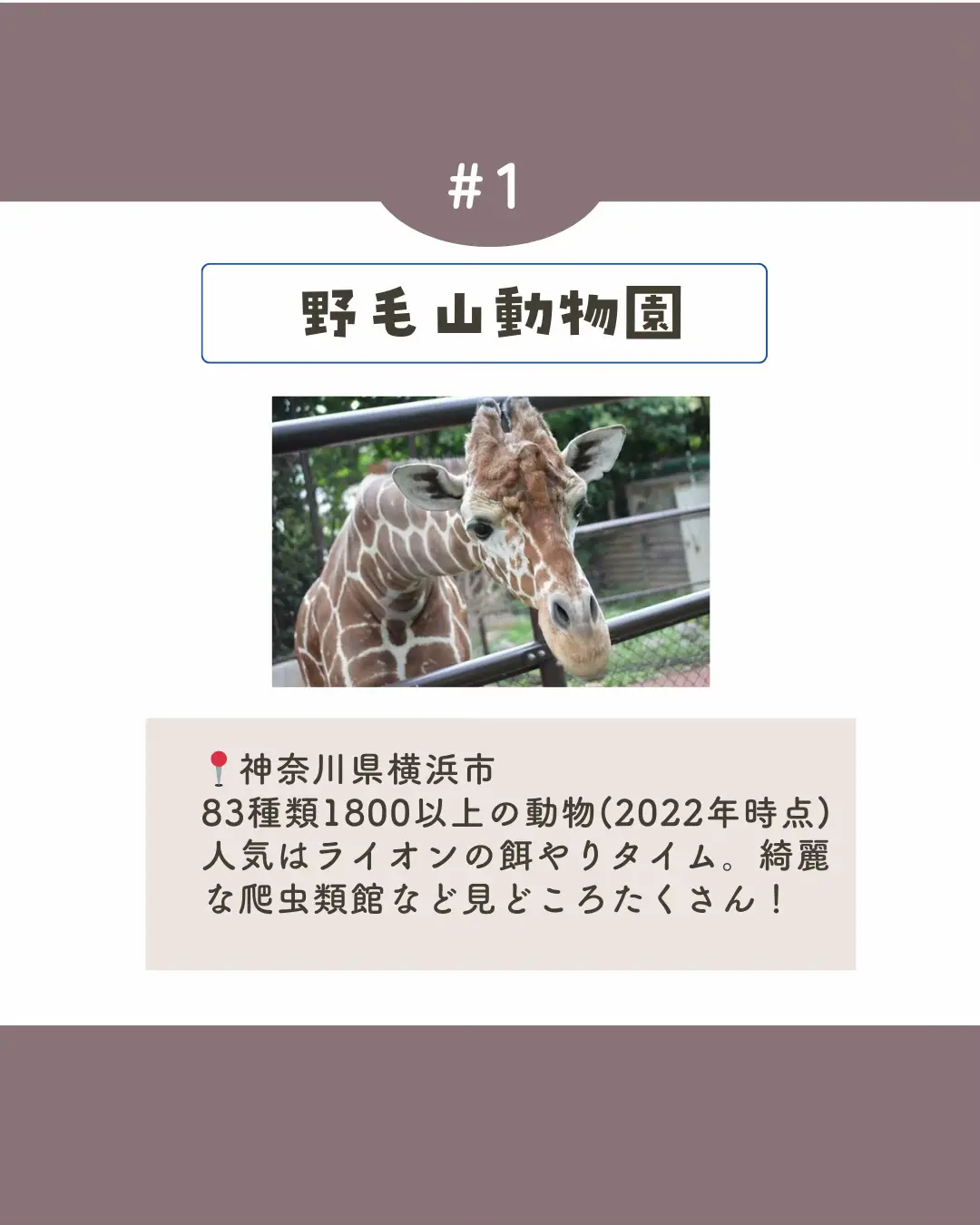 こども動物園 八幡 - Lemon8検索