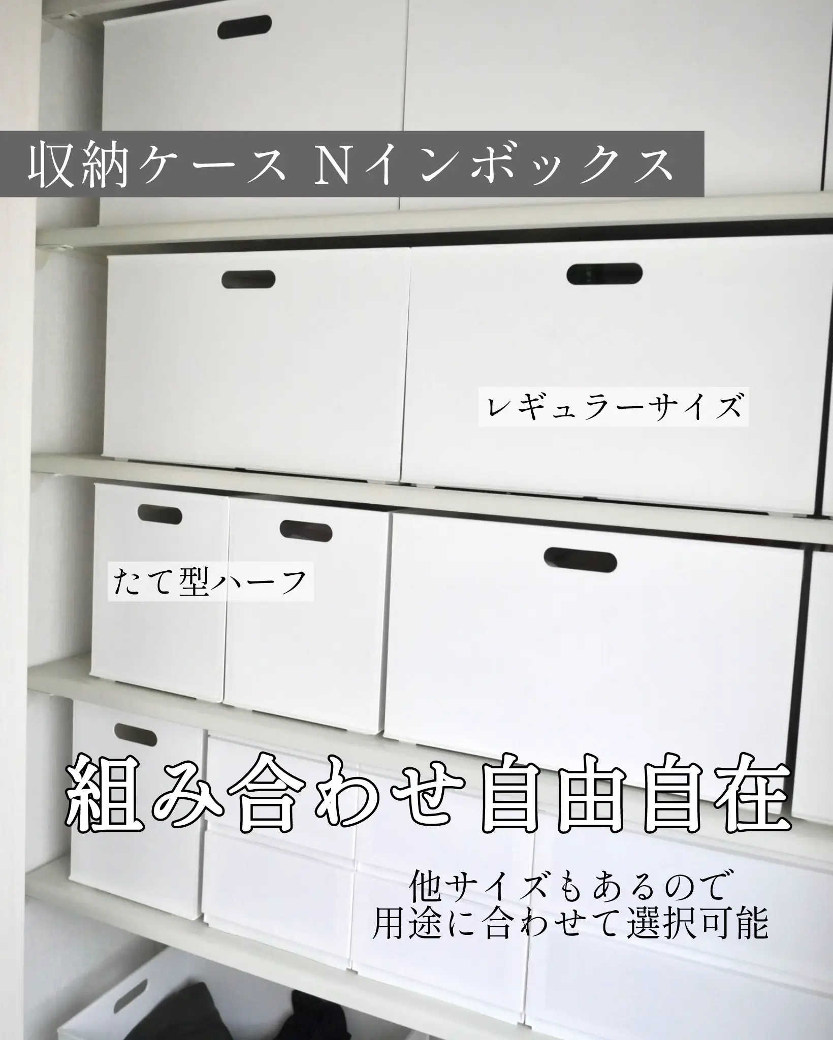 引き渡し先確定】ニトリ 収納ケース N フラッテ ハーフ ✖️2個 すばやく