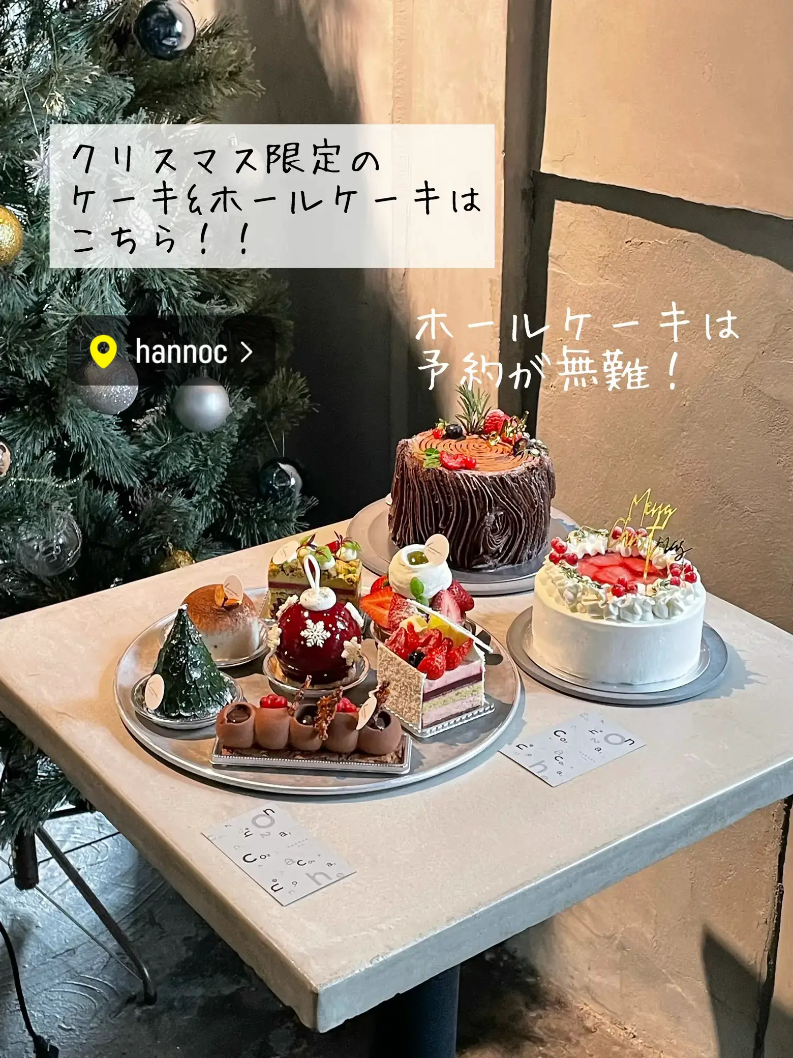 クリスマス ケーキ おすすめ - Lemon8検索