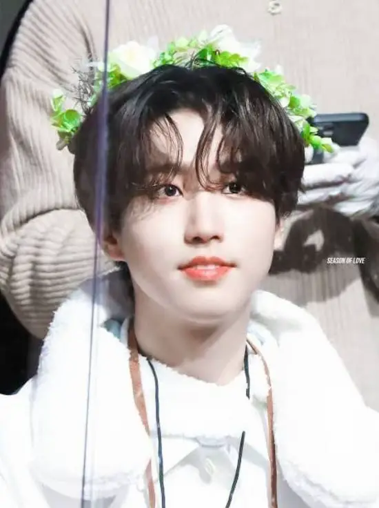 ハンジ】straykids ハン ジソン ラキドロ トレカ K-POP·アジア