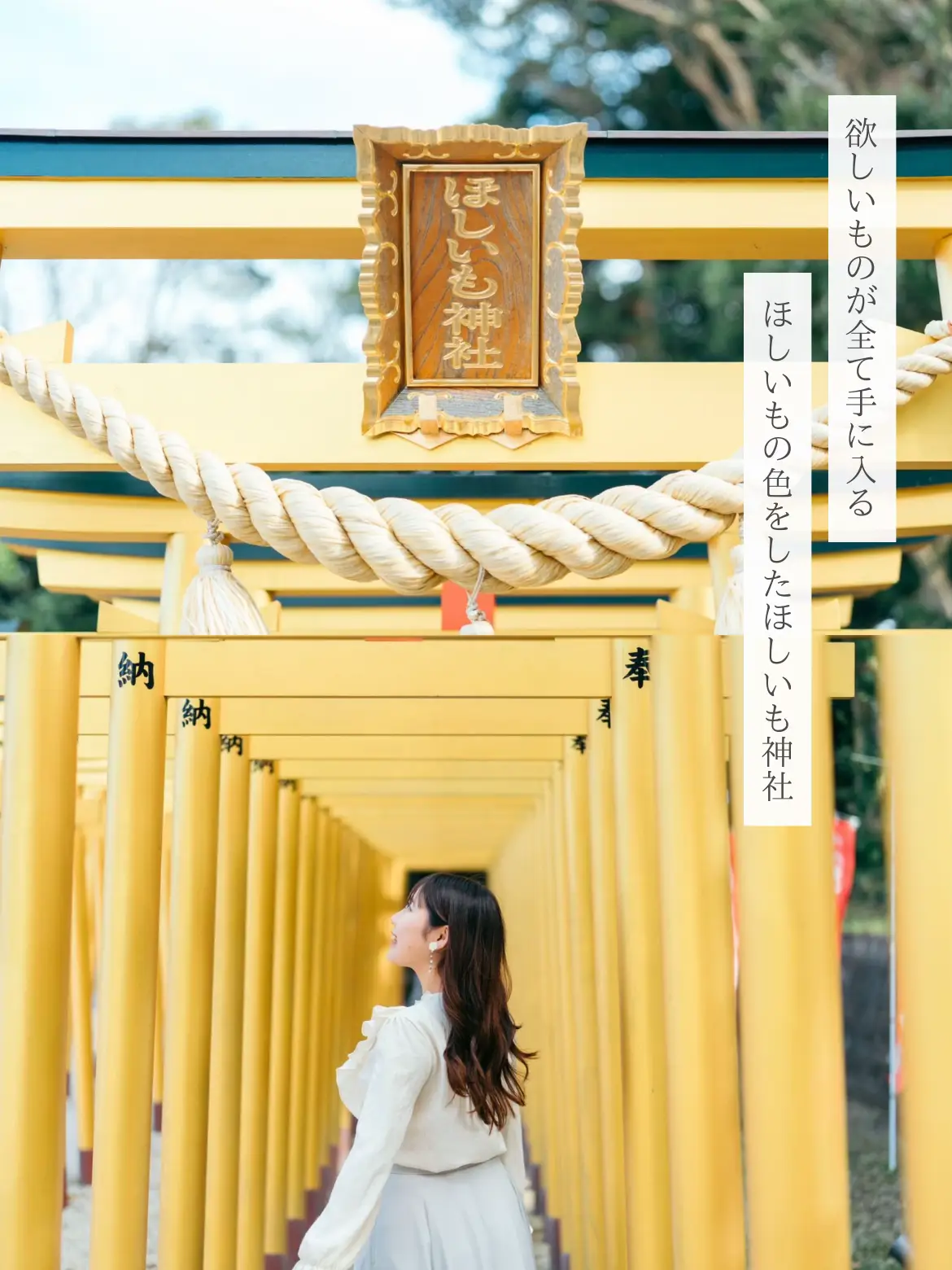 茨城】欲しいものが手に入る!?黄色い鳥居のほしいも神社🍠 | ひとみん