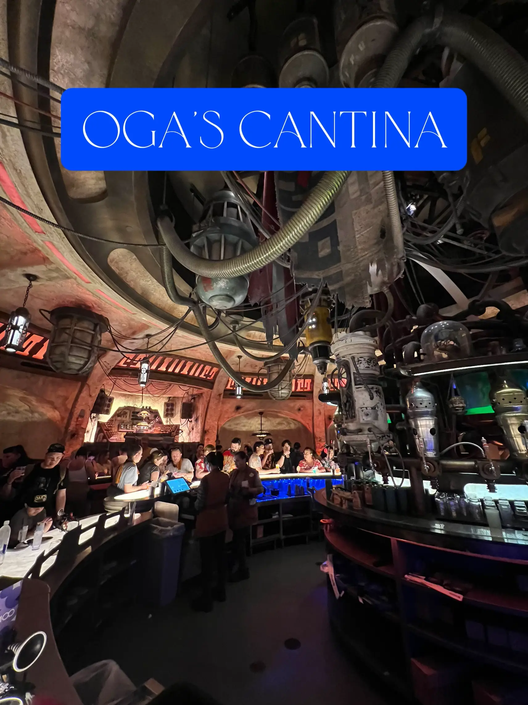 Oga's hotsell cantina lot