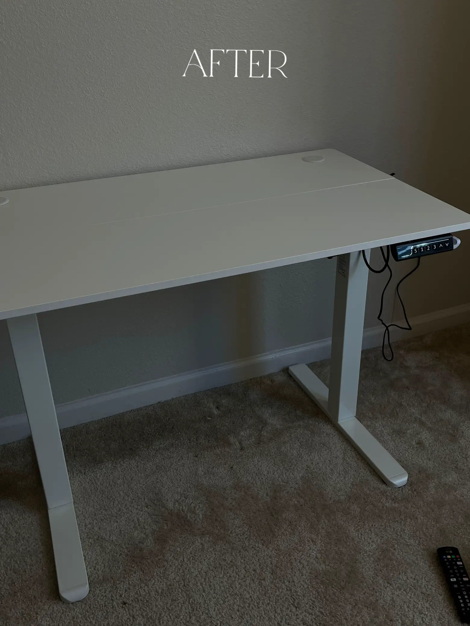 WFH Standing Desk Essentials, Gallery posted by Lyndsay B. Q.