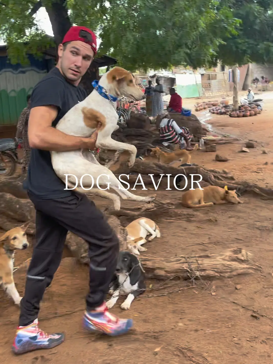 MOST VIRAL DOG MEAT SURVIVOR RESCUE FYP FASHION Video published by