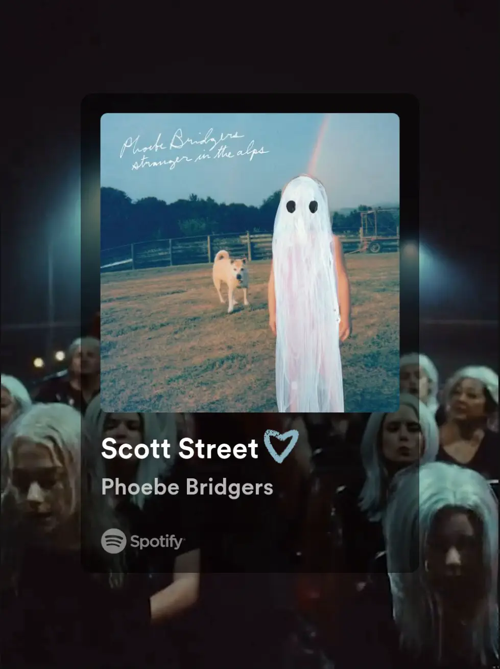  A Spotify playlist of music by Scott Street and Phoebe Bridgers.