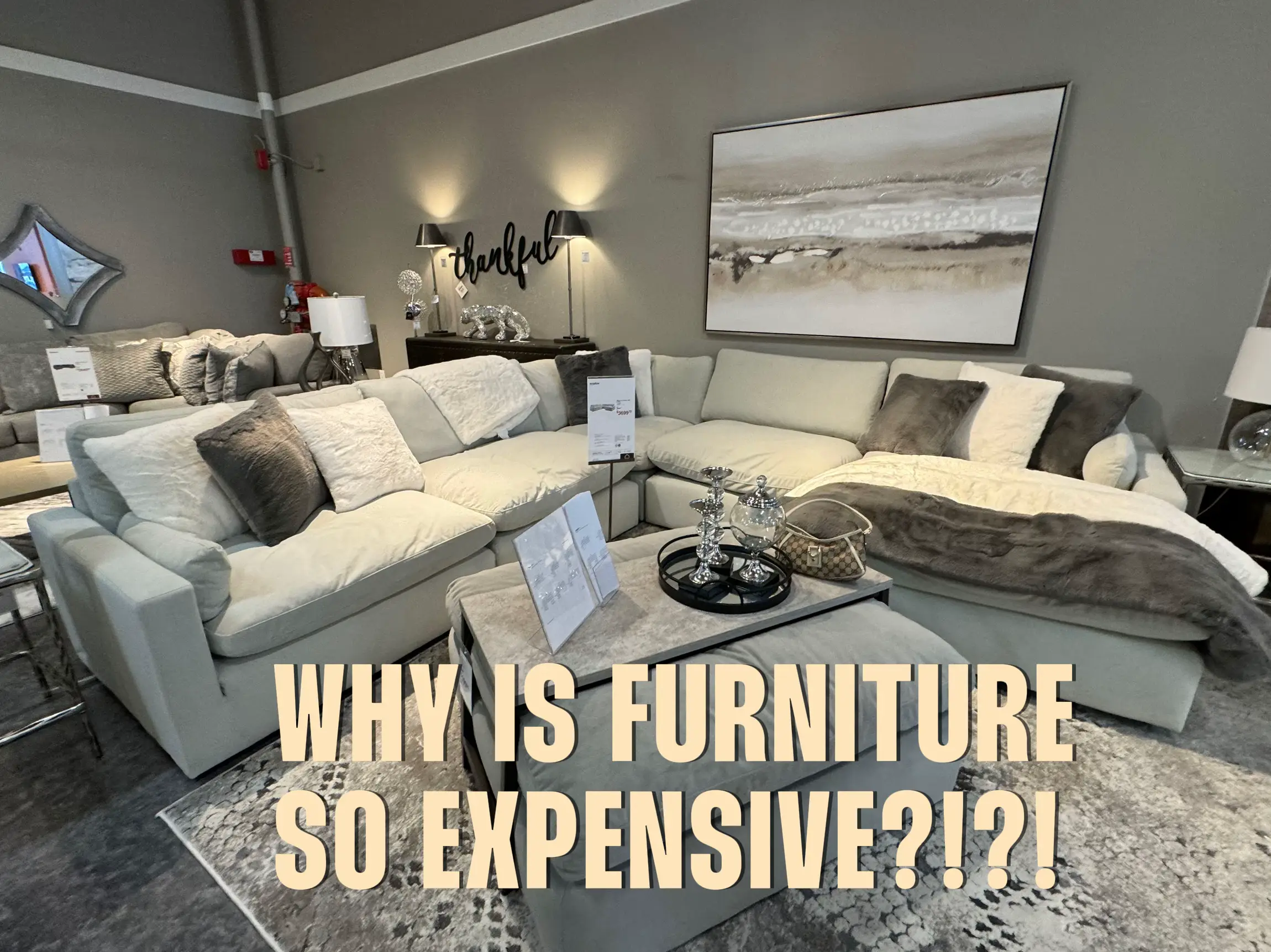 WHY IS FURNITURE SO EXPENSIVE?!?! Gallery posted by Alexxx🍋 Lemon8