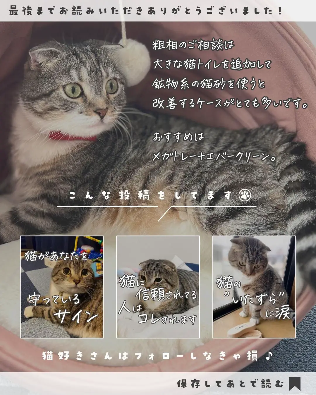 お見舞い ハチワレ 3-額装付 ハチワレ Hachiware ワインを飲む猫