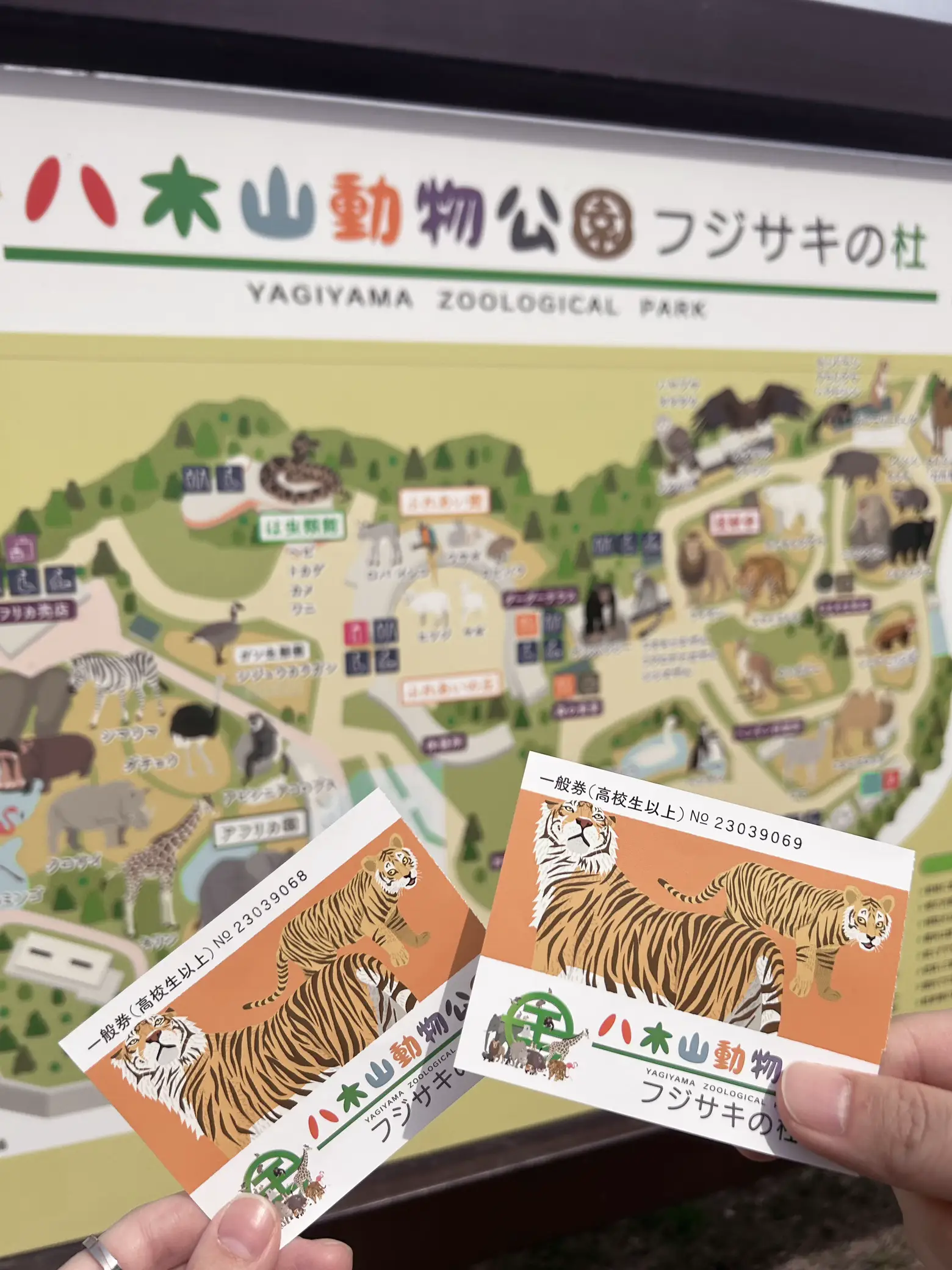 4枚】東武動物公園 入園券4枚＋おまけ すくっ