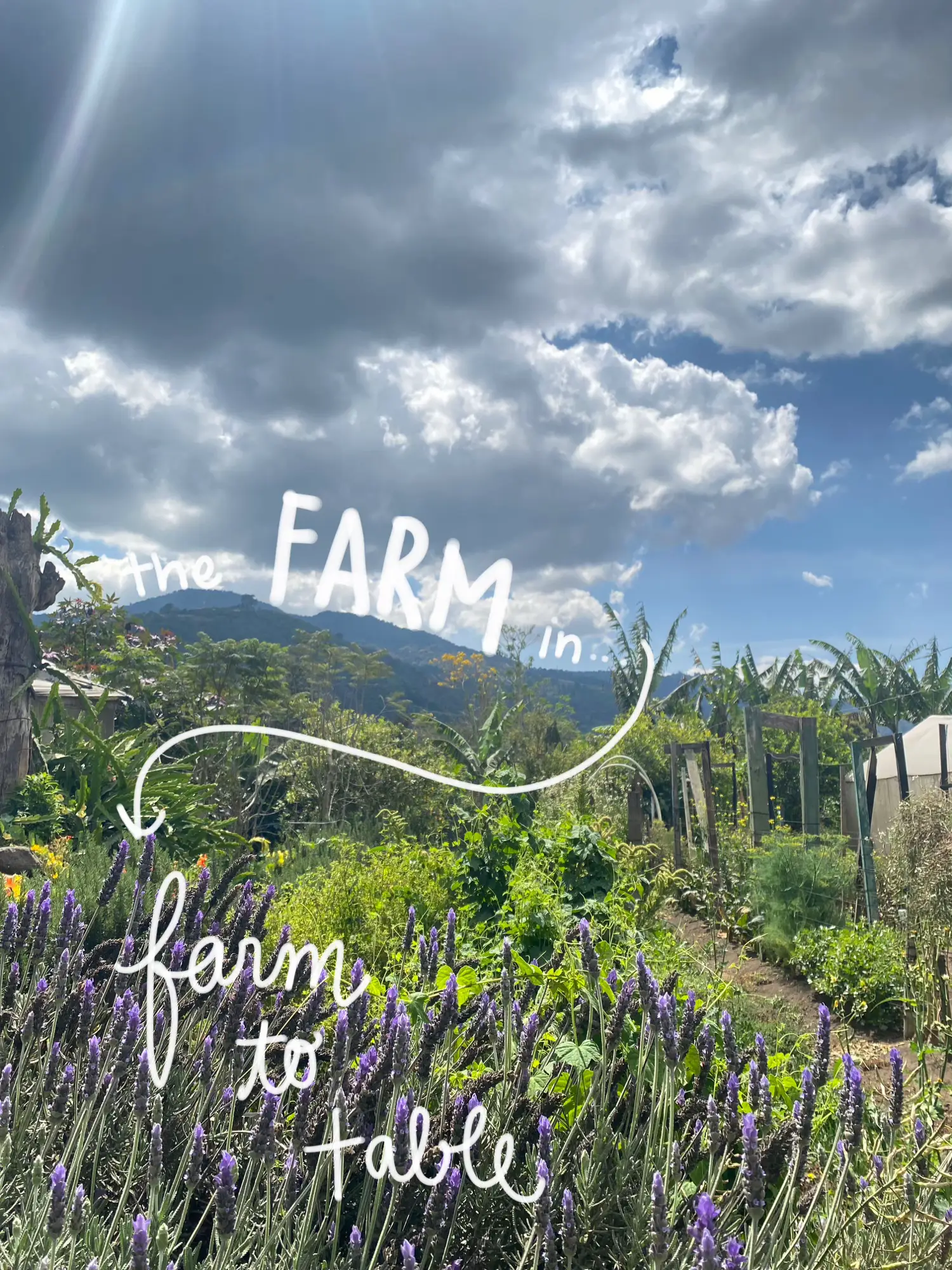 Caoba Farms - All You Need to Know BEFORE You Go (with Photos)
