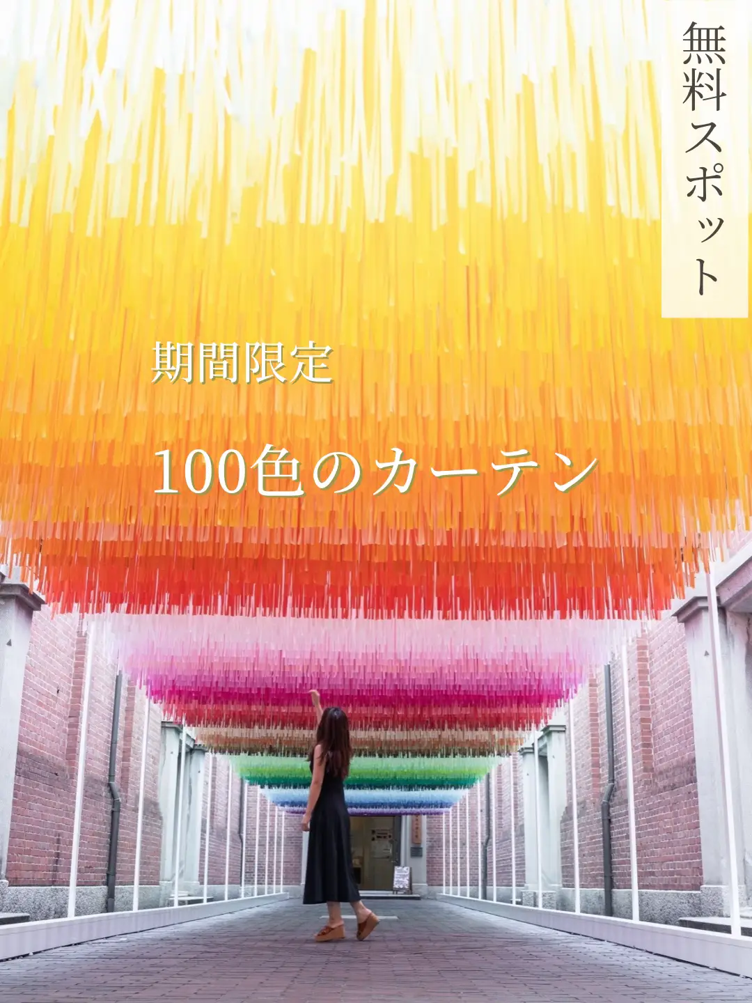 【今すぐ行きたい】期間限定の100色の虹色カーテンの画像 (0枚目)
