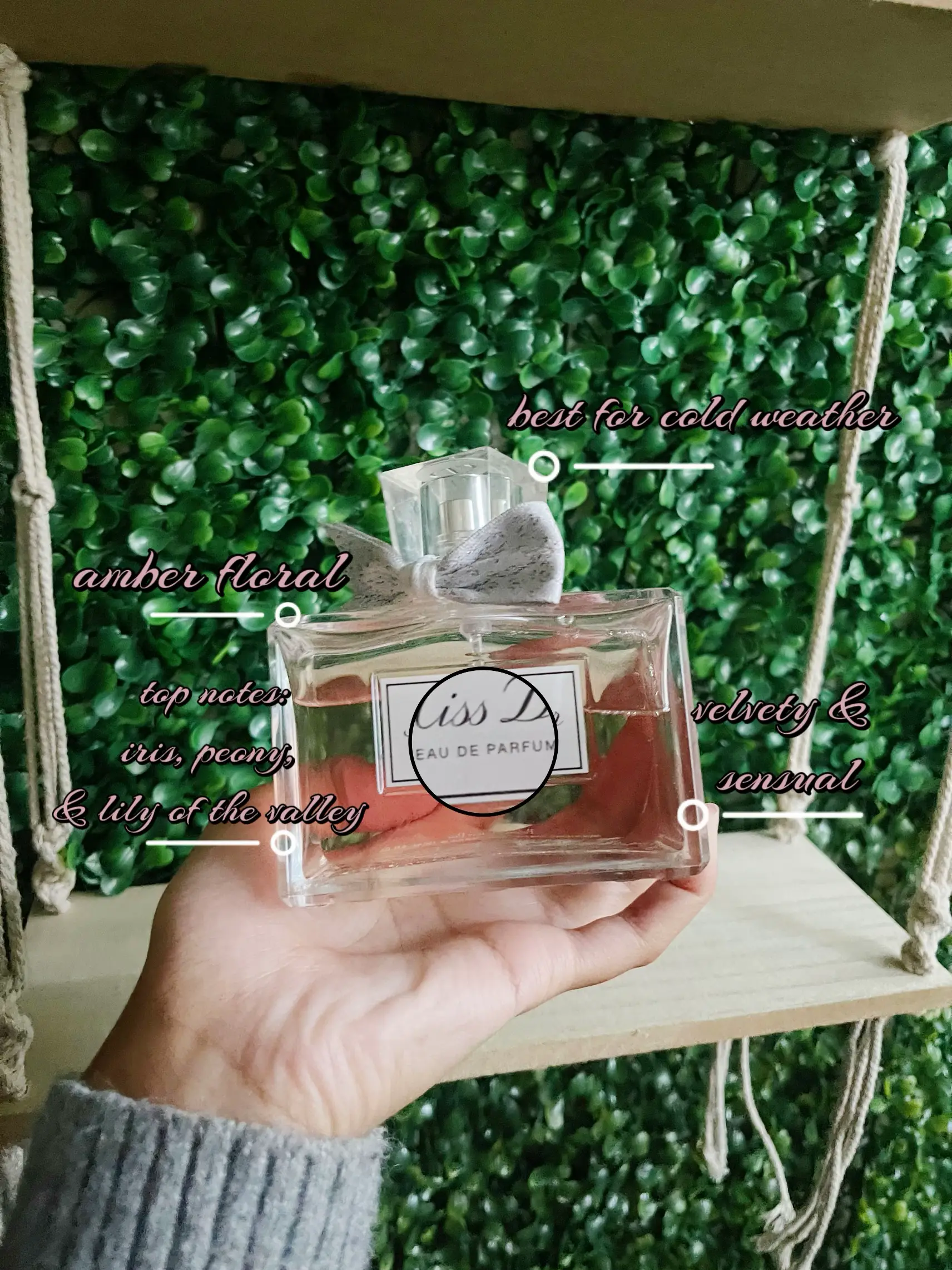 Lily discount dior perfume