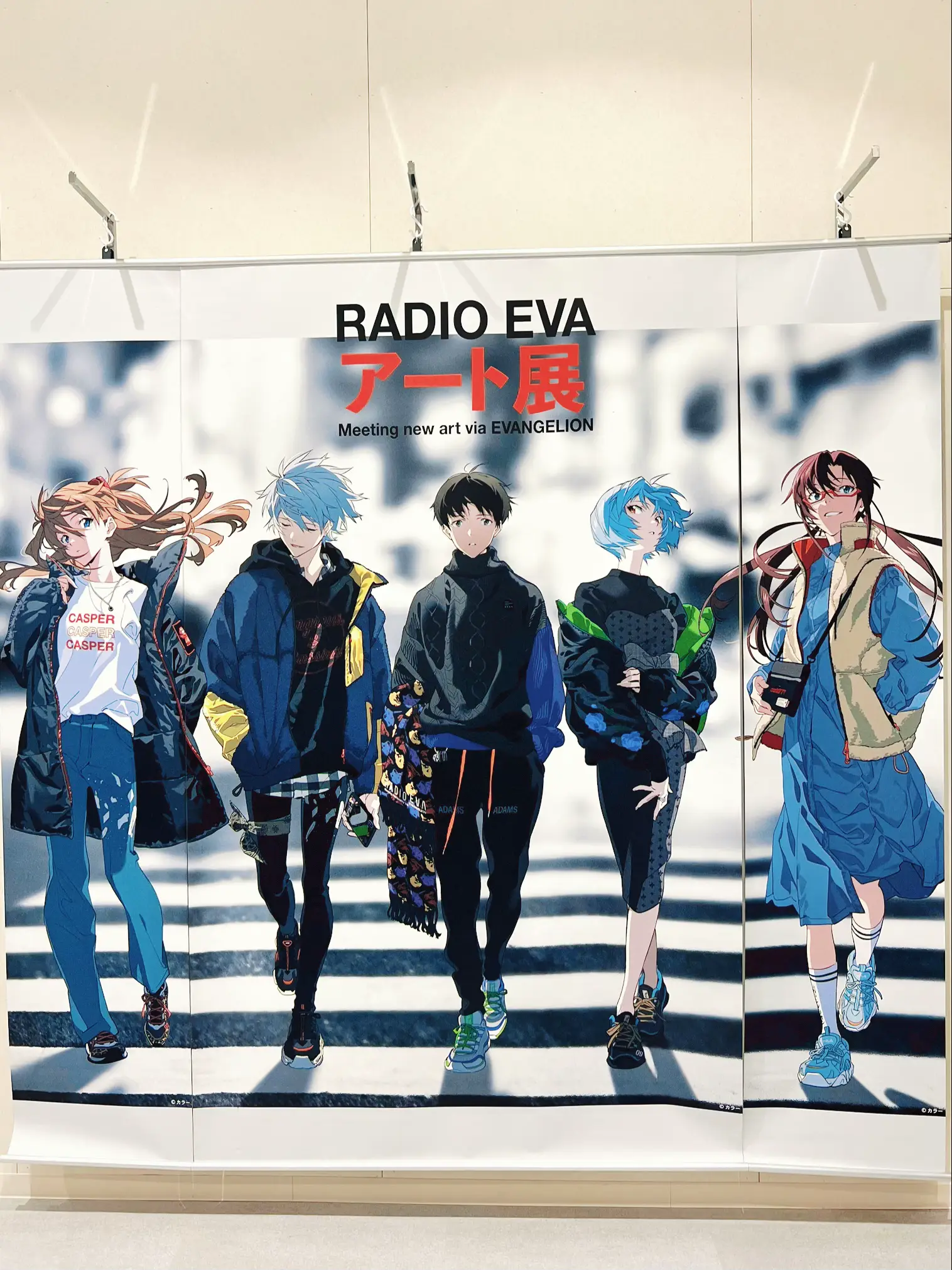 Radio Eva - Lemon8検索