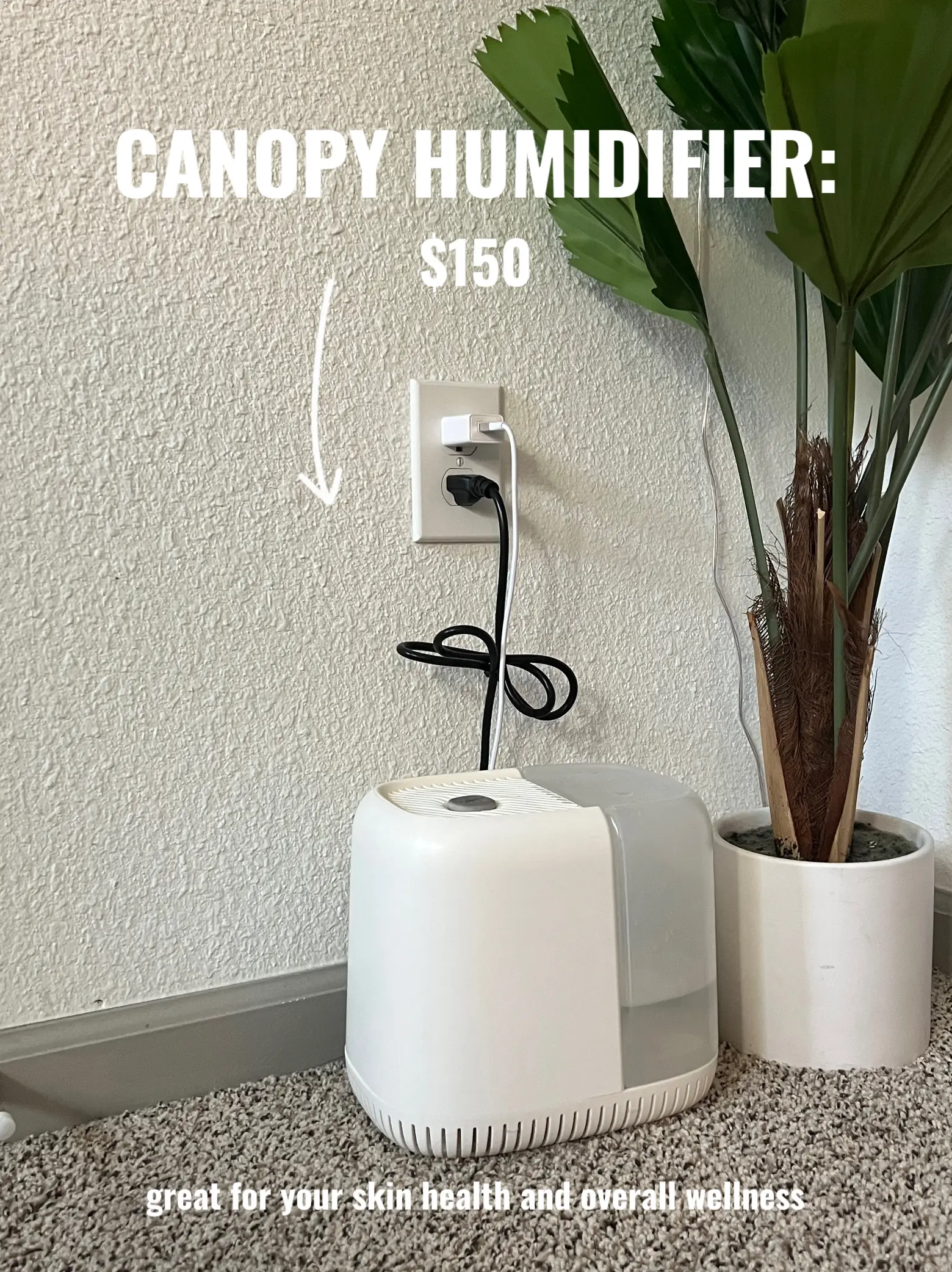 Honest Canopy Humidifier Review