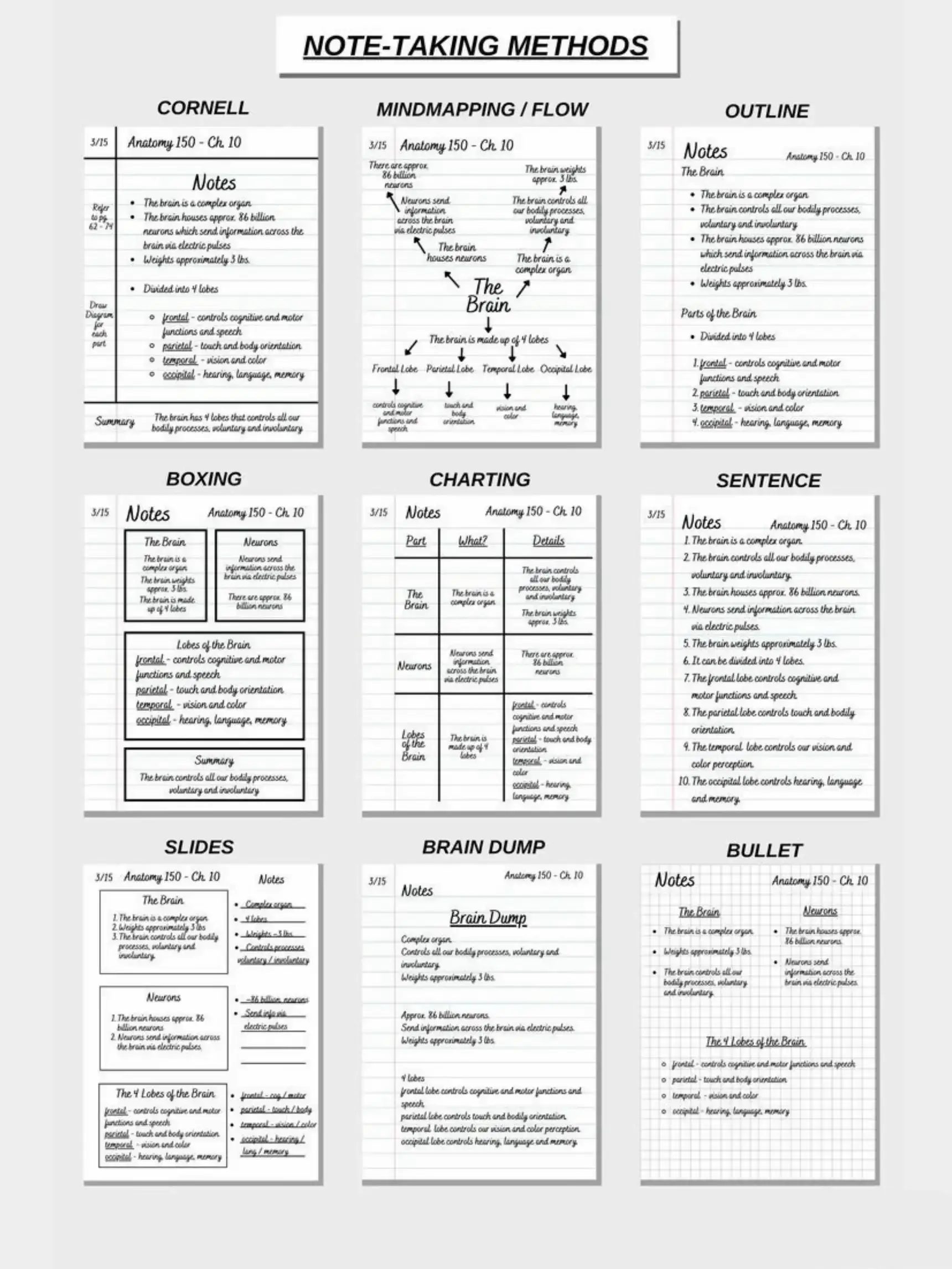 BOOX Note Air 3 C Cornell Notes, Note Taking Templates for Boox Note Air 3  C, Digital Download 