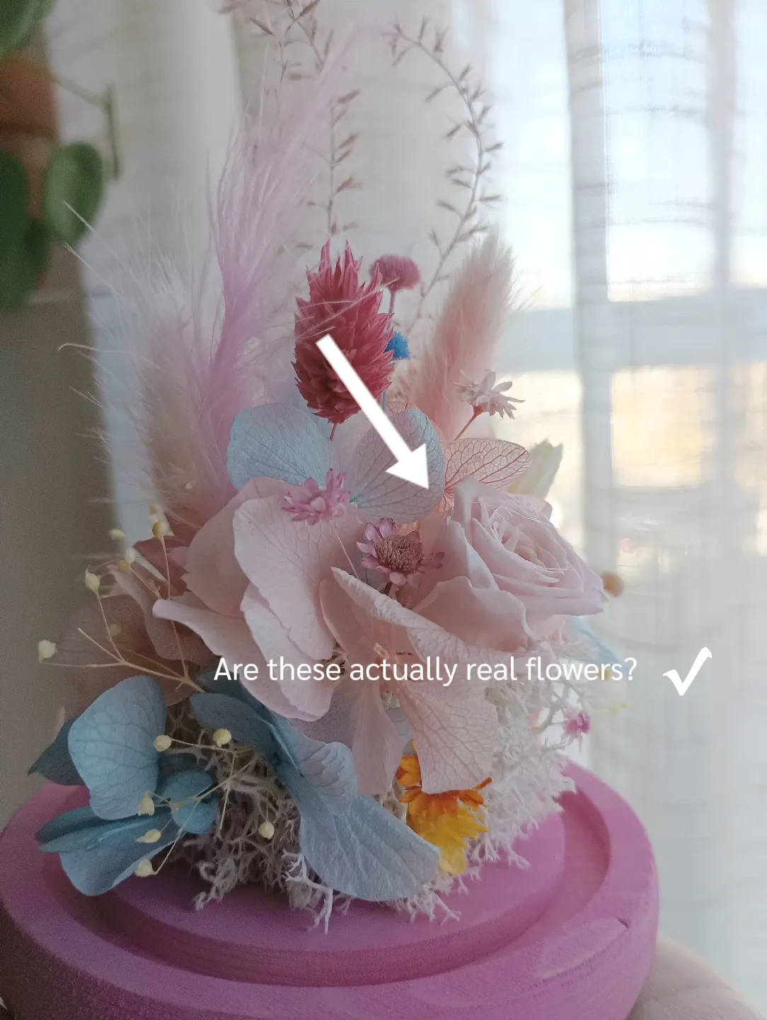 How long do dried flowers last? Gallery posted by cupofleurs Lemon8