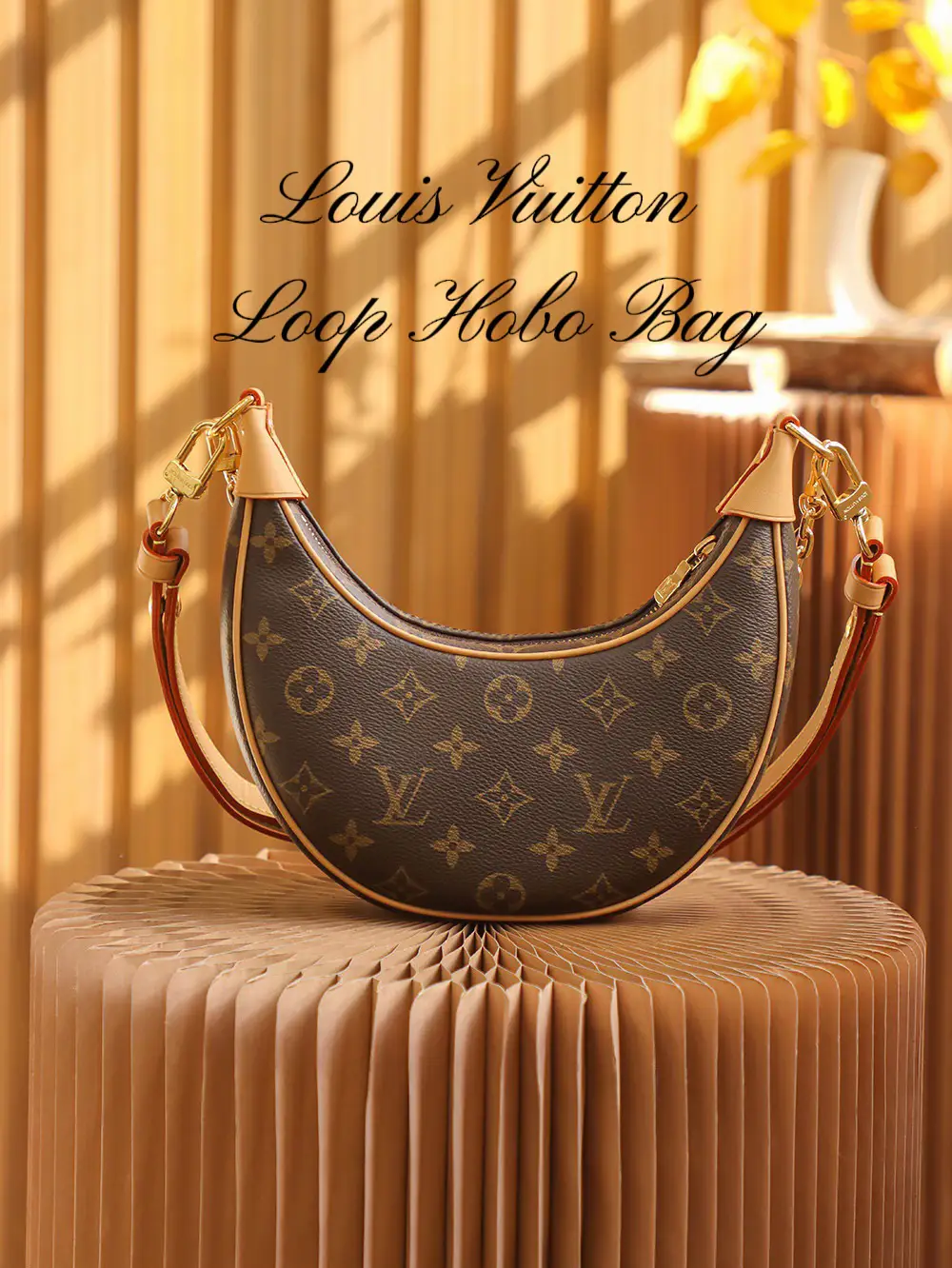 Louis Vuitton Loop Hobo Monogram Canvas Brown