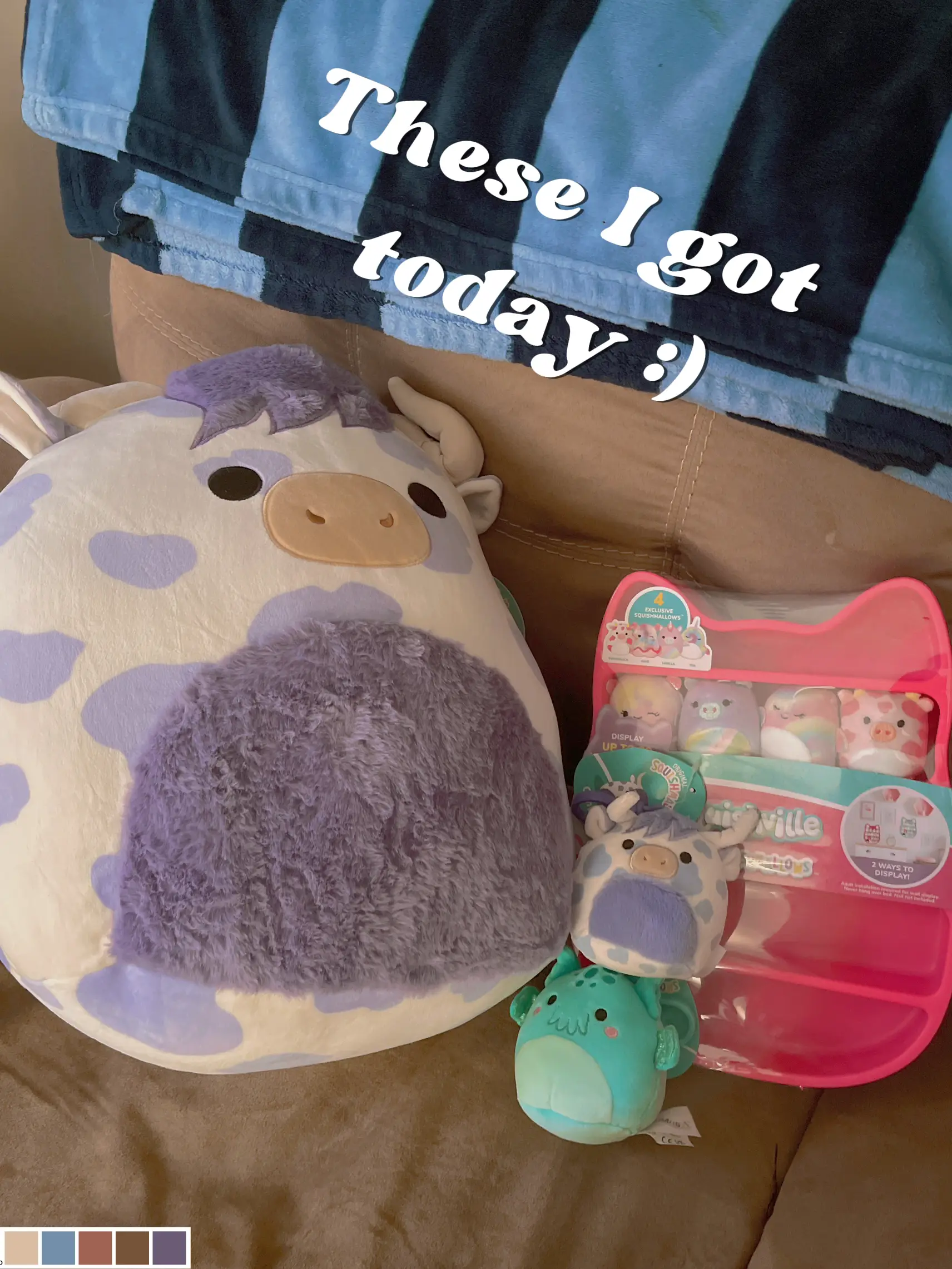 Squishmallows Haul!, Gallery posted by Elley