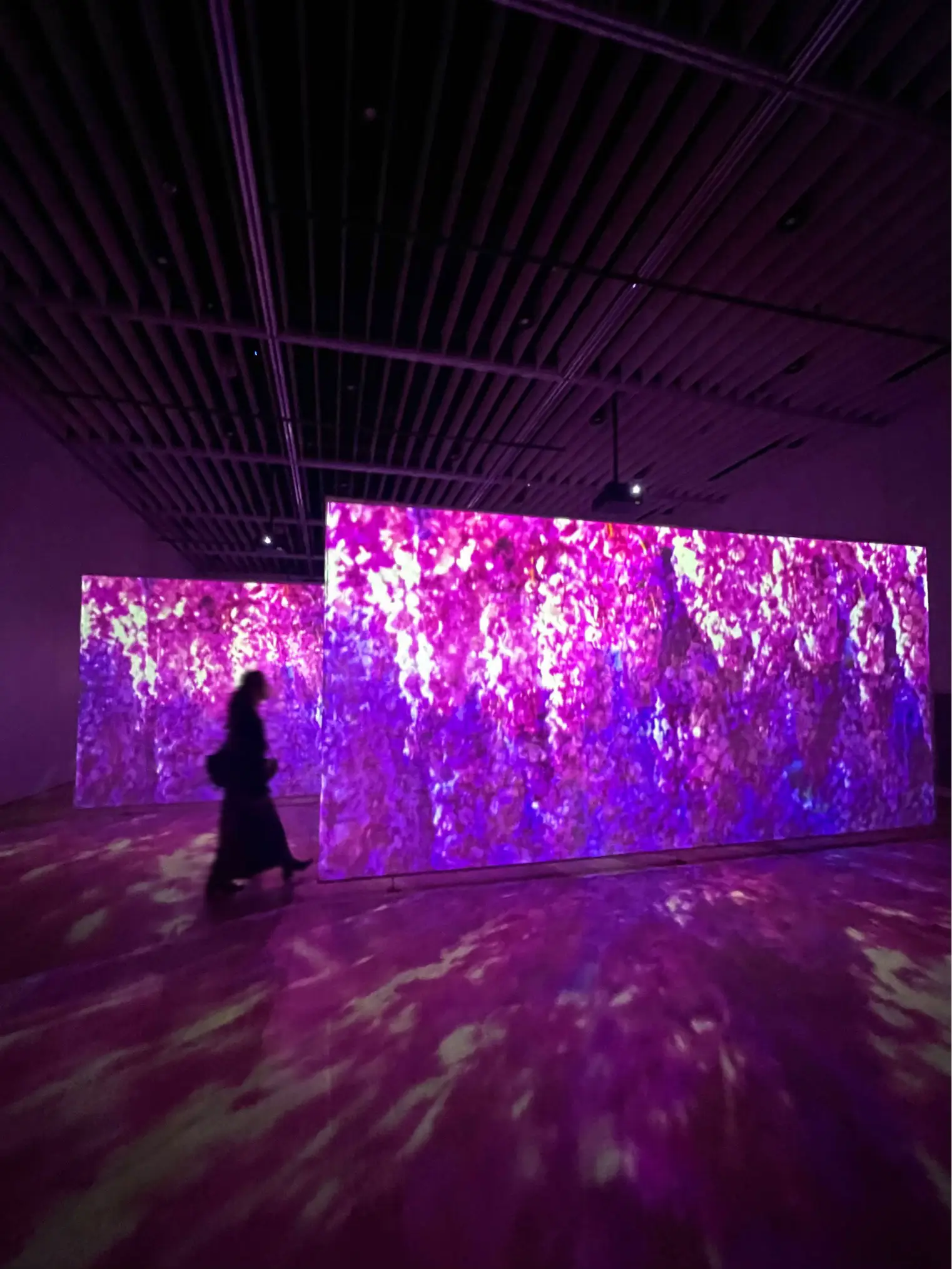 Explore Mika Testa'S Viral Instagram Moments - 5dfq1dt