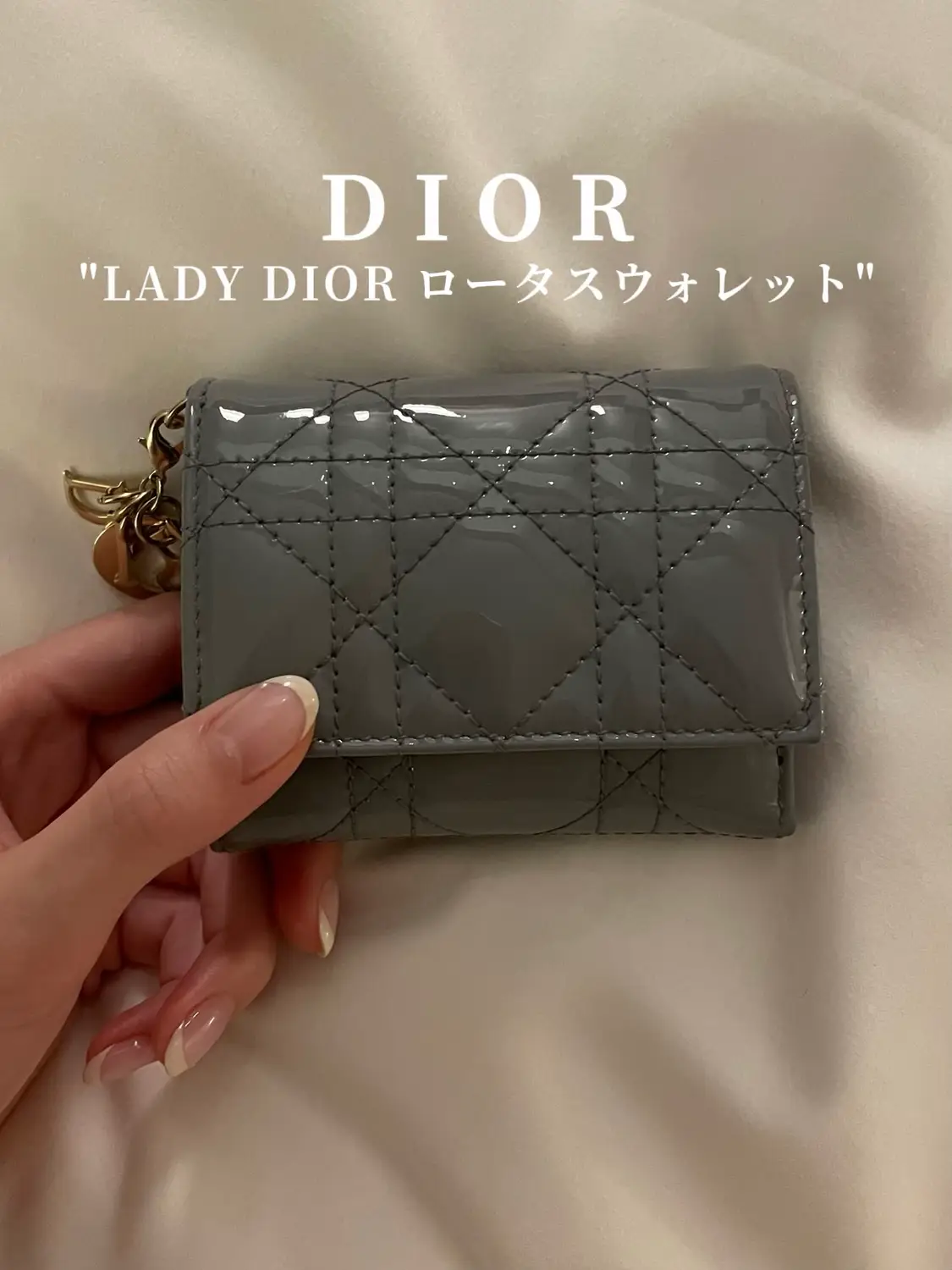 可愛すぎるDIOR財布👛 | maiが投稿したフォトブック | Lemon8