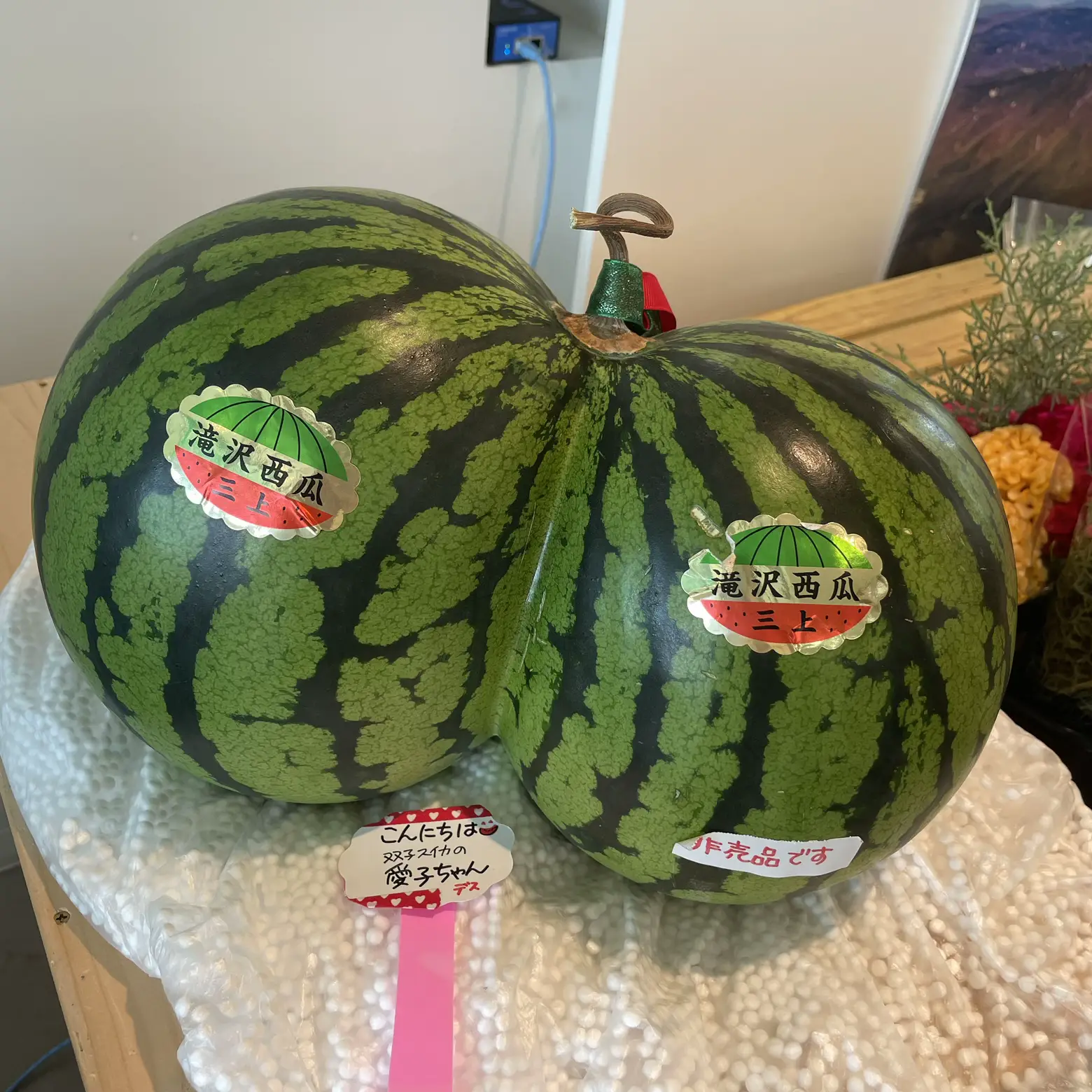 この間見つけた双子ちゃん🍉🍉✨ | とっくんママ(ΦωΦ)ฅが投稿したフォトブック | Lemon8