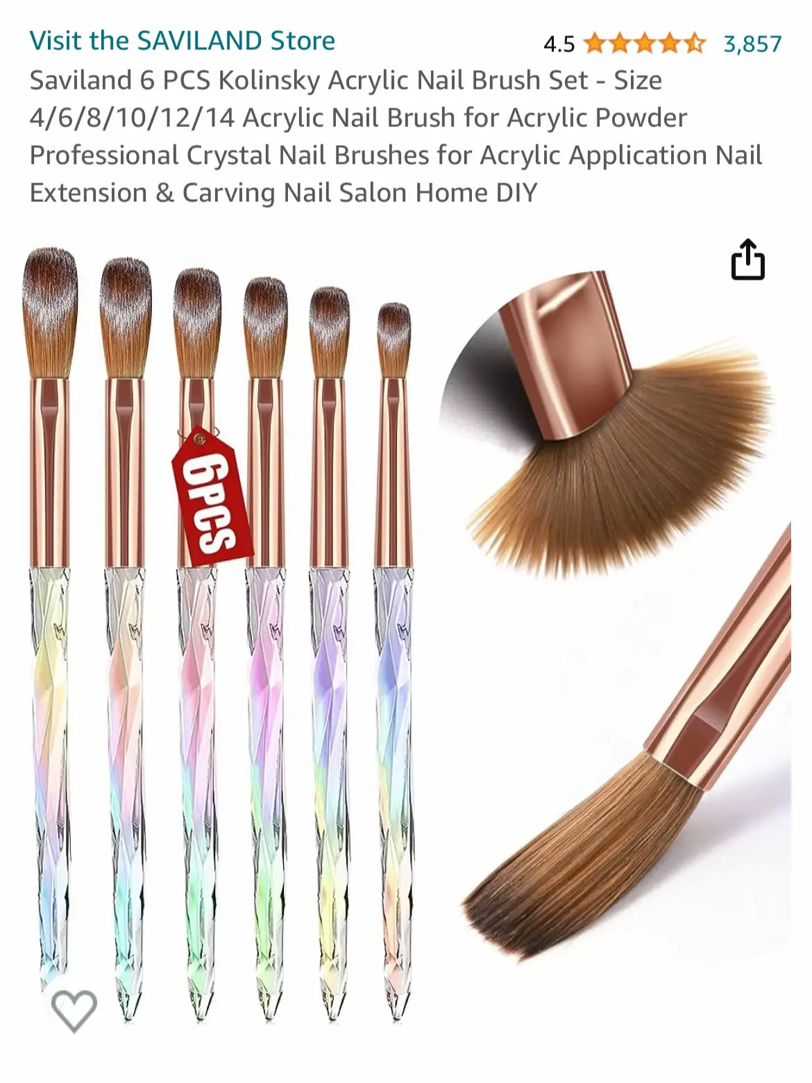 Saviland Nail Art Brushes Set - 6pcs Double-End Nail Art Brushes Kit  Professional Nail Art Tools