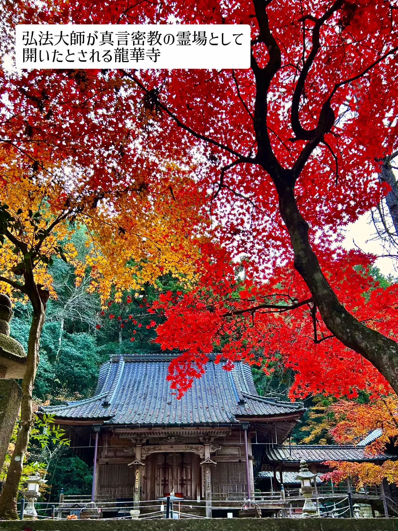 【広島】🌸桜と🍁紅葉で有名な歴史ある隠れたスポット「今高野山龍華寺」の画像 (6枚目)