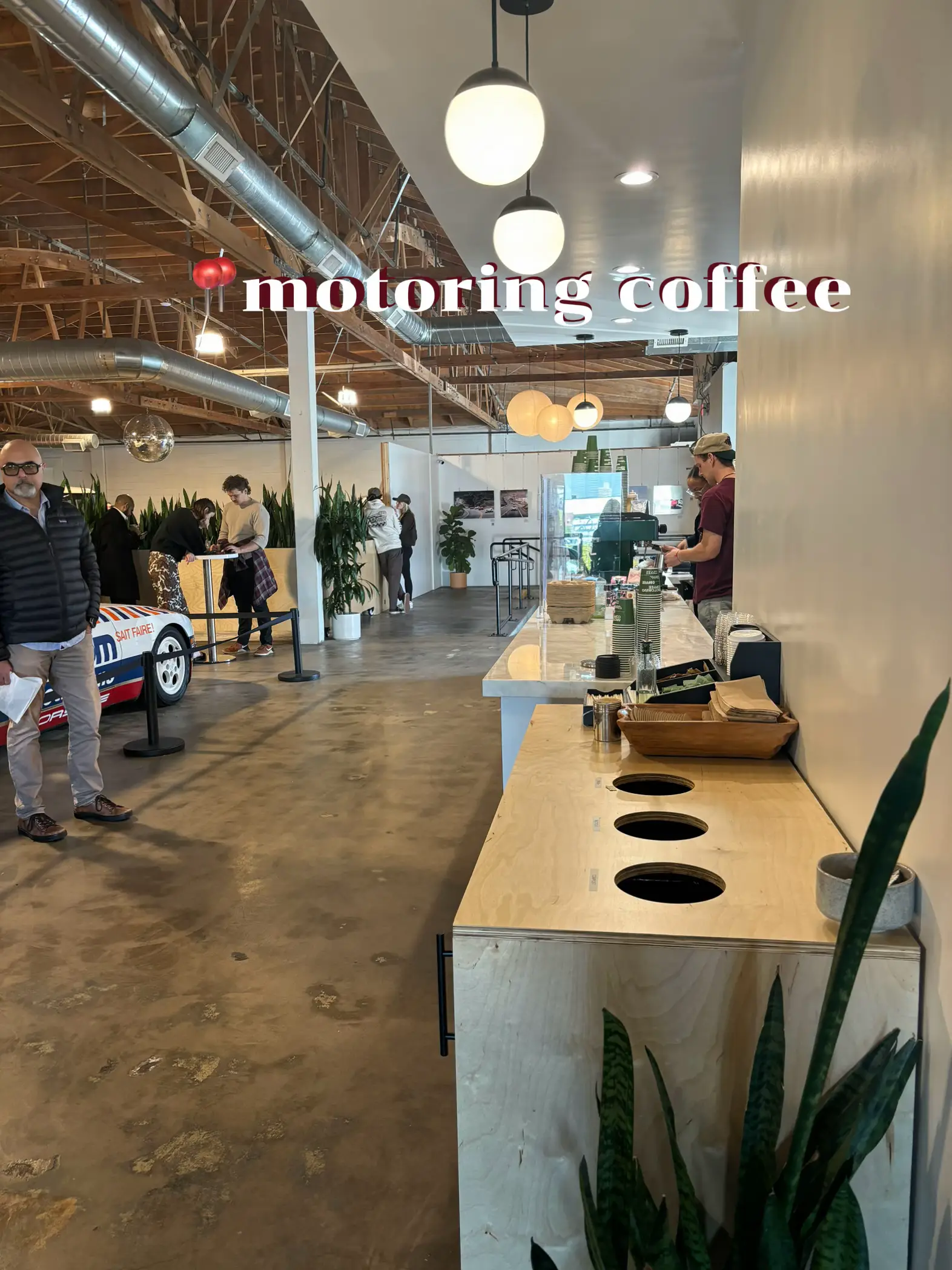  A coffee shop with a green plant and a man standing behind the counter.