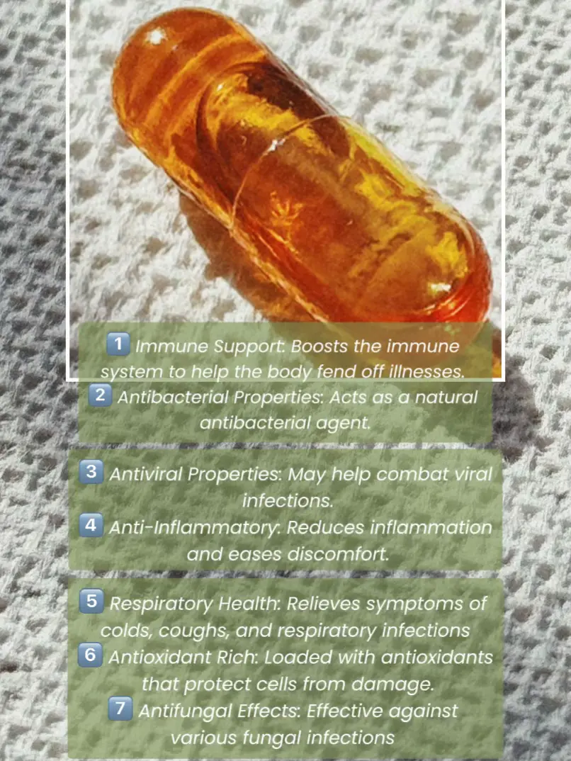 Oregano Oil Benefits What I Take When I Feel Sick แกลเลอรีที่โพสต์