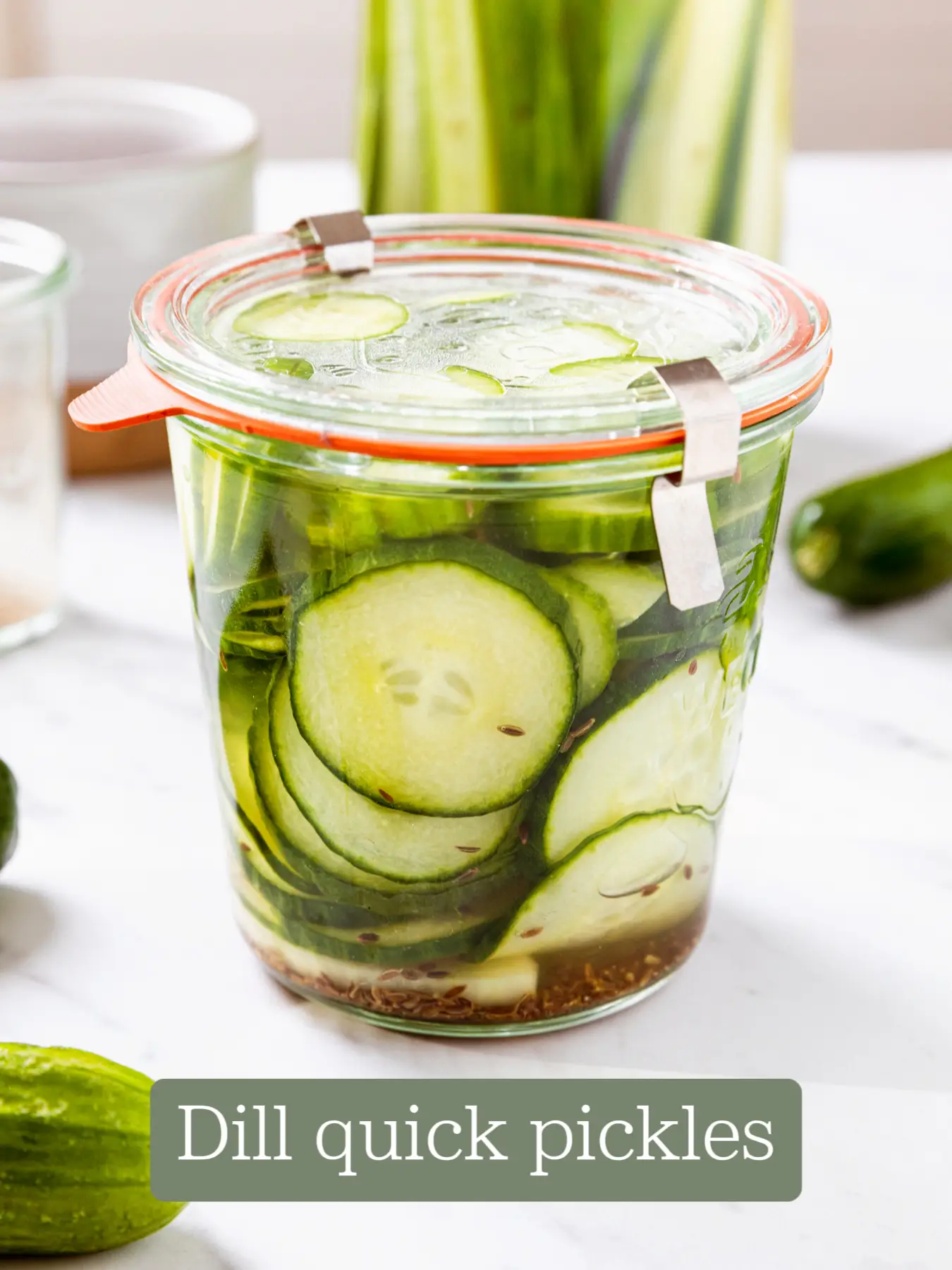Dill quick pickles Video published by wyseguide Lemon8
