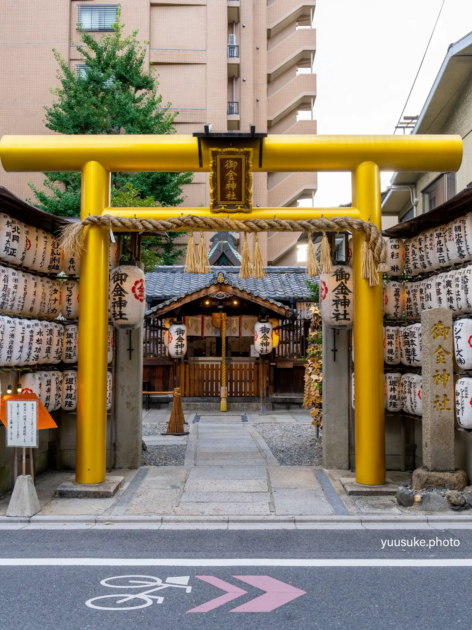 聖神社 基本お守り６点 - その他