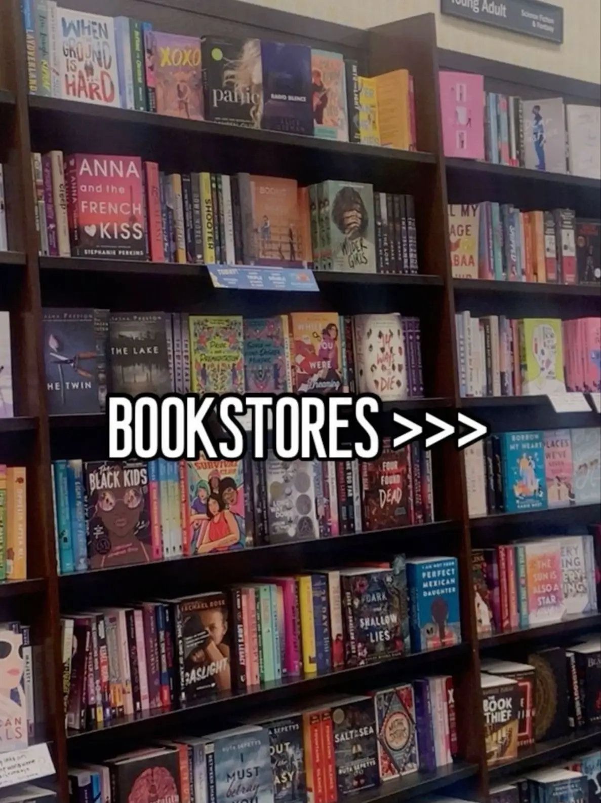 20 top Cozy Bookstores Near Me ideas in 2024