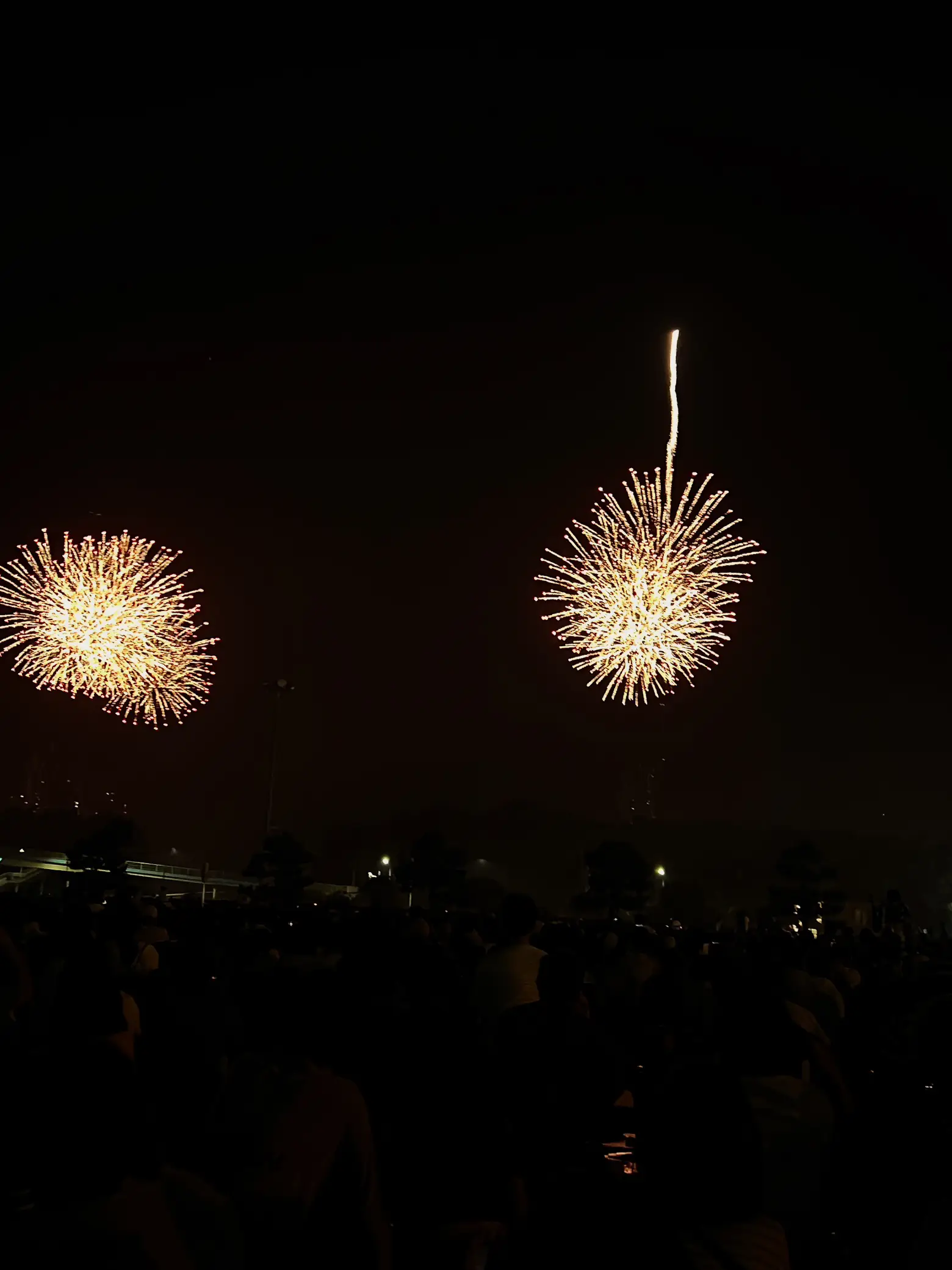 夏の夜空に 大輪の花火🎆 | たーさんが投稿したフォトブック | Lemon8