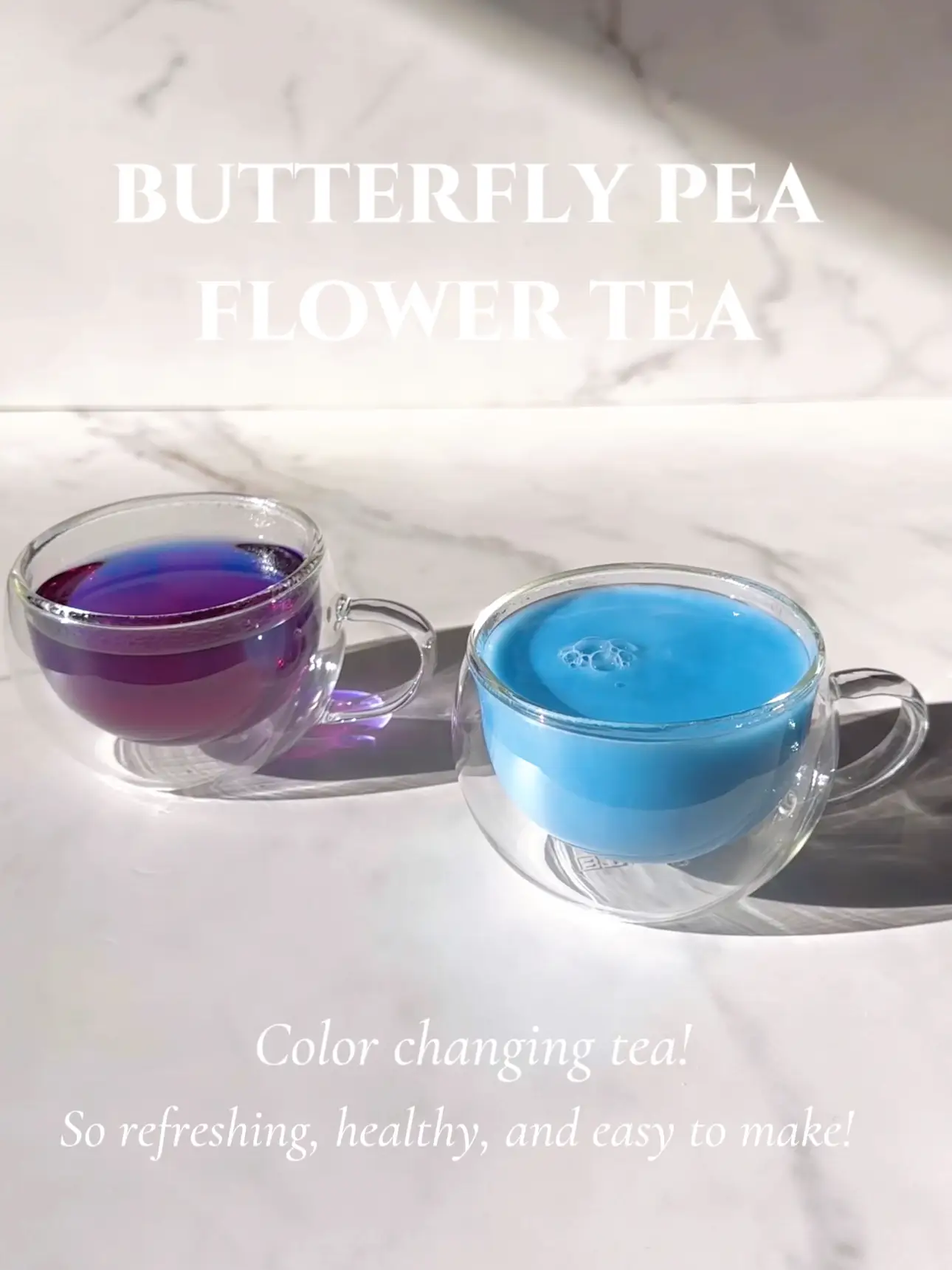 Blue Tea (butterfly pea flower tea) - My Foodcourt