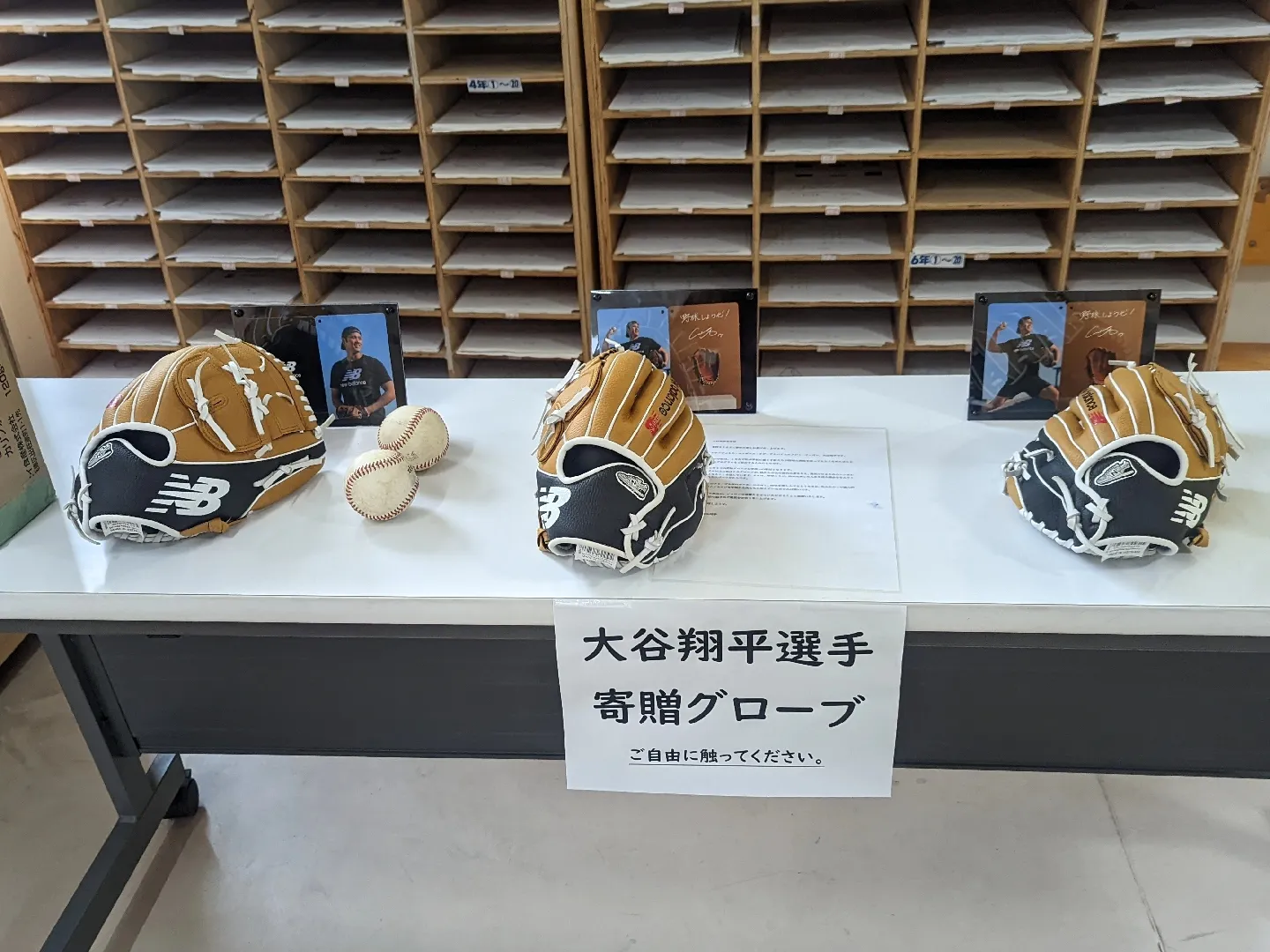 大谷 翔平 MLB 公式 ゴールドグローブ ディスプレイケース 公式球