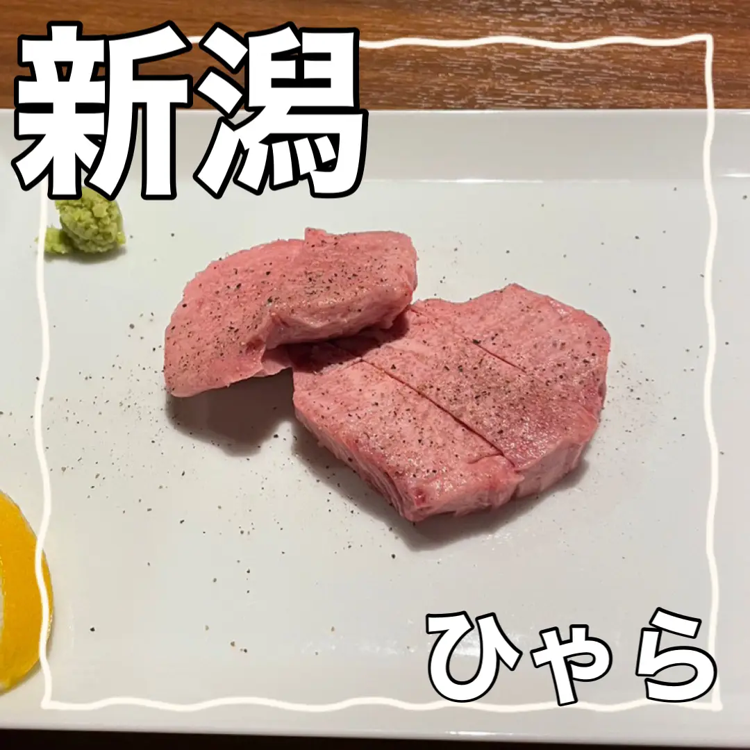 カタログギフトも！ 焼肉 焼き網 16枚 これから焼肉屋さんやる方に