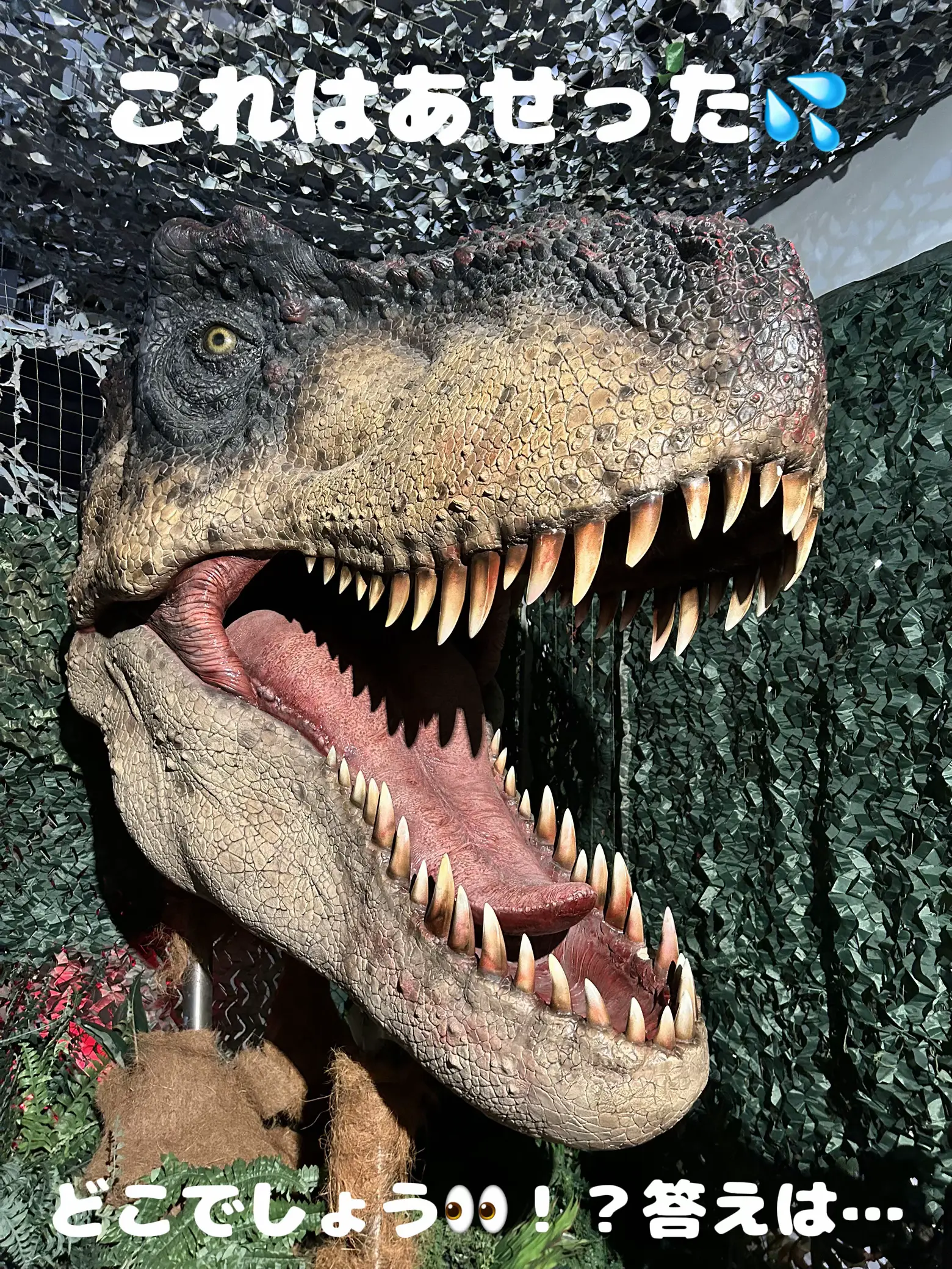 恐竜キングを遊んでいた人必見かも？ 押し上げる