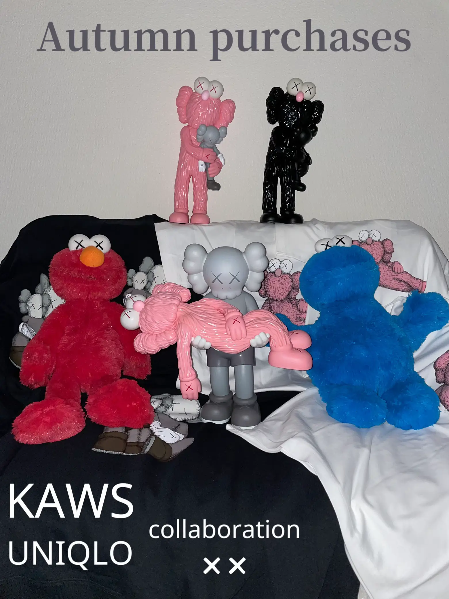 KAWS セサミストリート コラボ ぬいぐるみ 新品 箱付き カウズ - その他