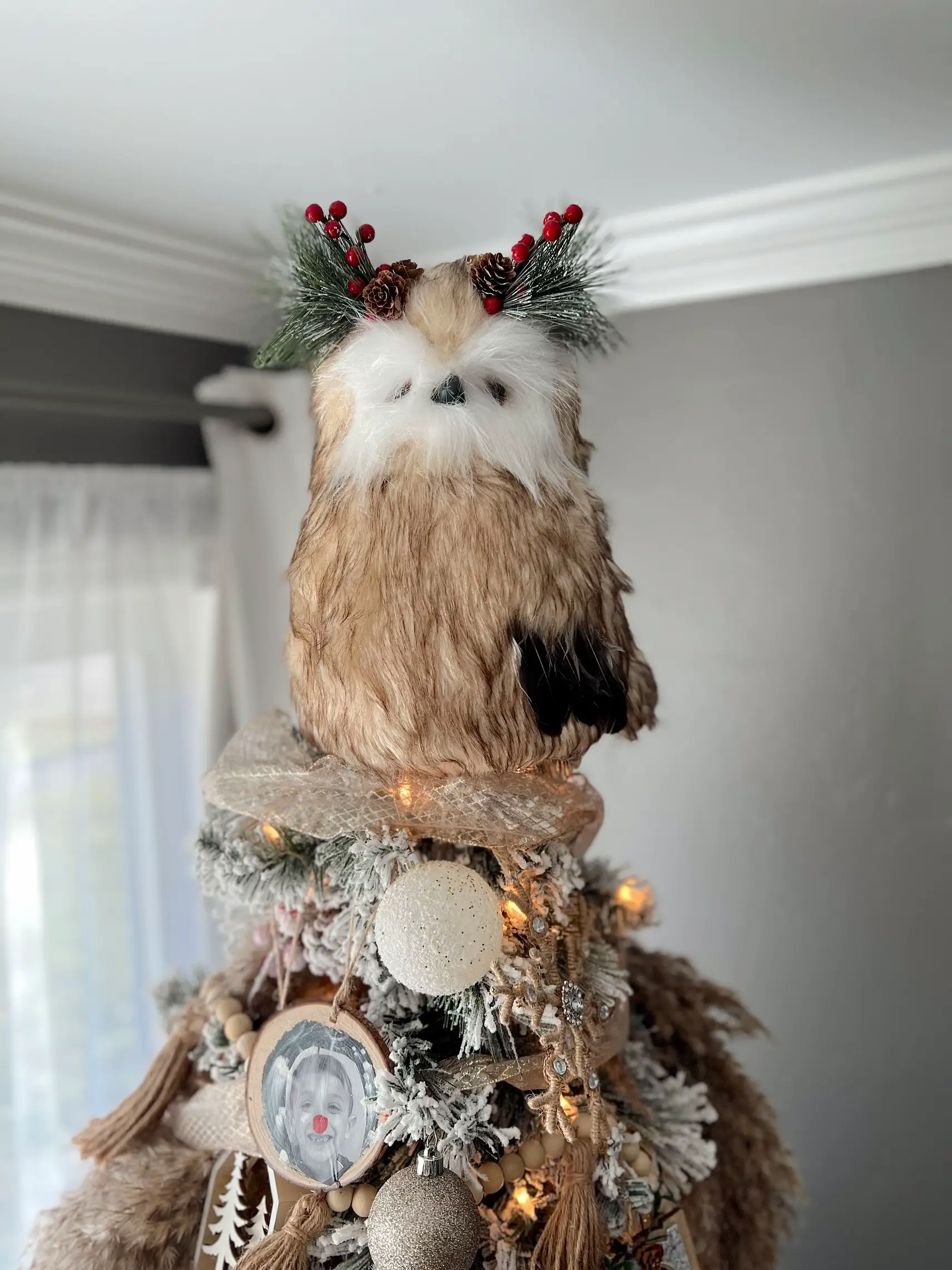 Walmart owl tree topper Gallery posted by Felicia Cannon Lemon8