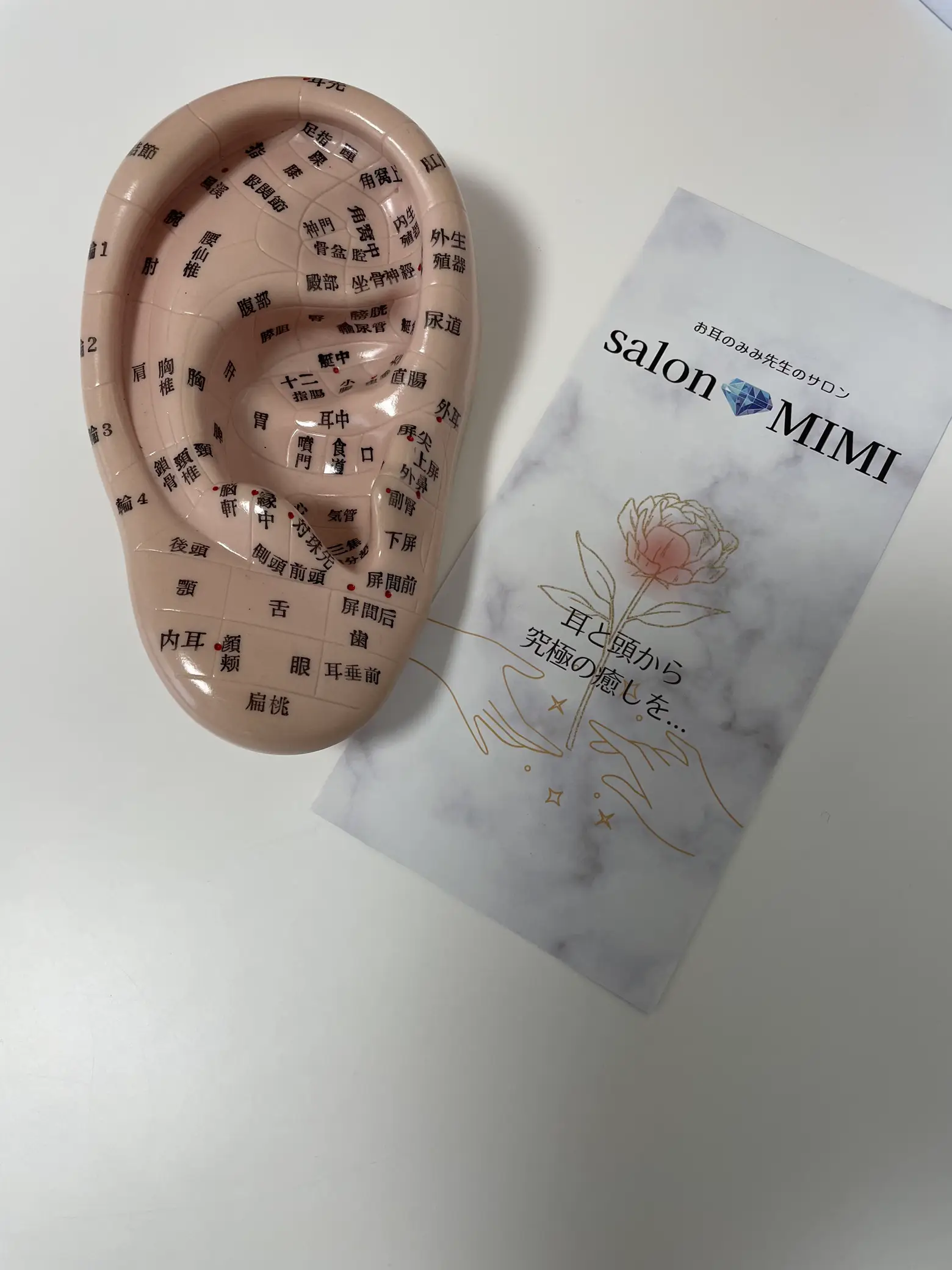 欅？の屏