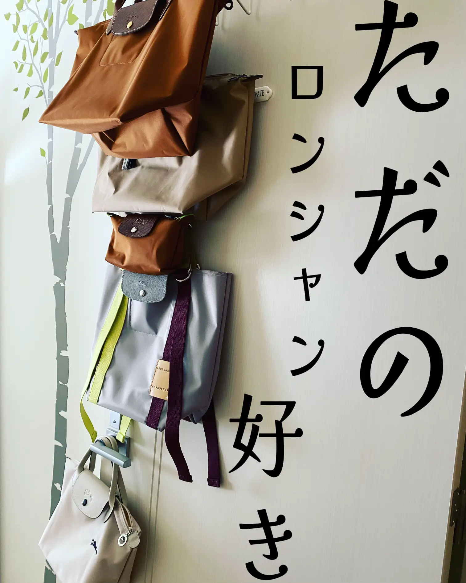 ロンシャン エピュレ XS クロスボディバッグ ペーパー - レザー