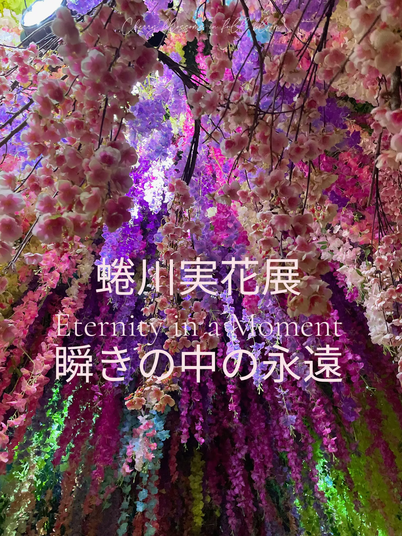 蜷川実花展Eternity in a Moment瞬きの中の永遠 | たなおが投稿した