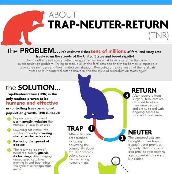 Trap, Neuter, & Return