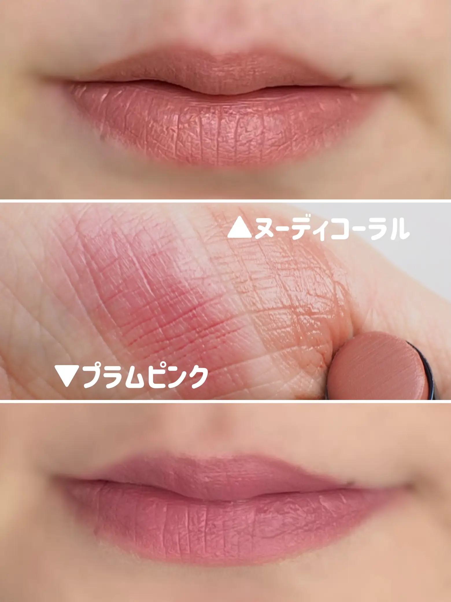 ETVOS 2023秋冬新作リップ💄イエベ・ブルベ別おすすめも | miyuki.Aが