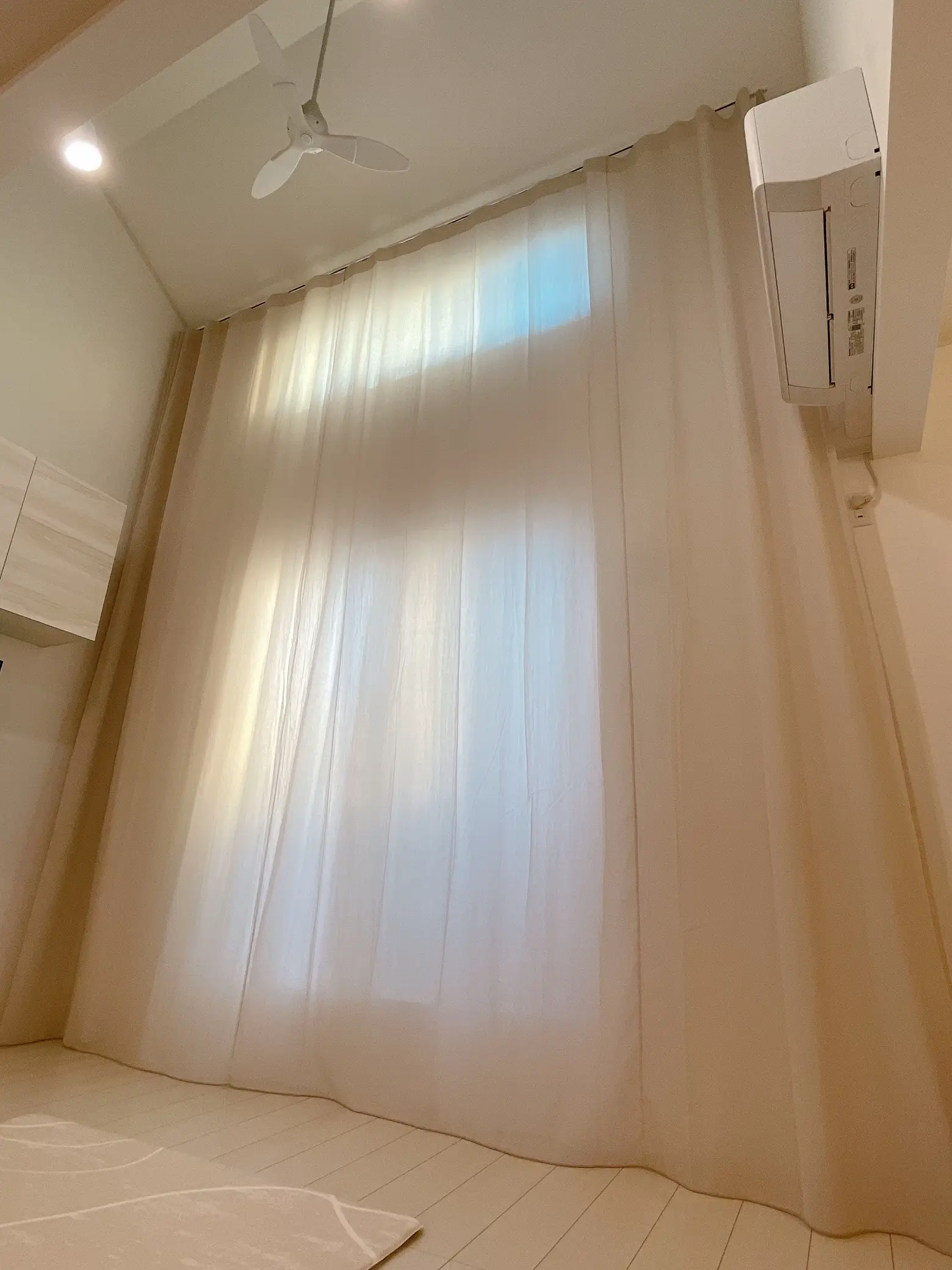 Little Rooms カラーシフォンカーテン2倍ひだ 100×200 カーテン