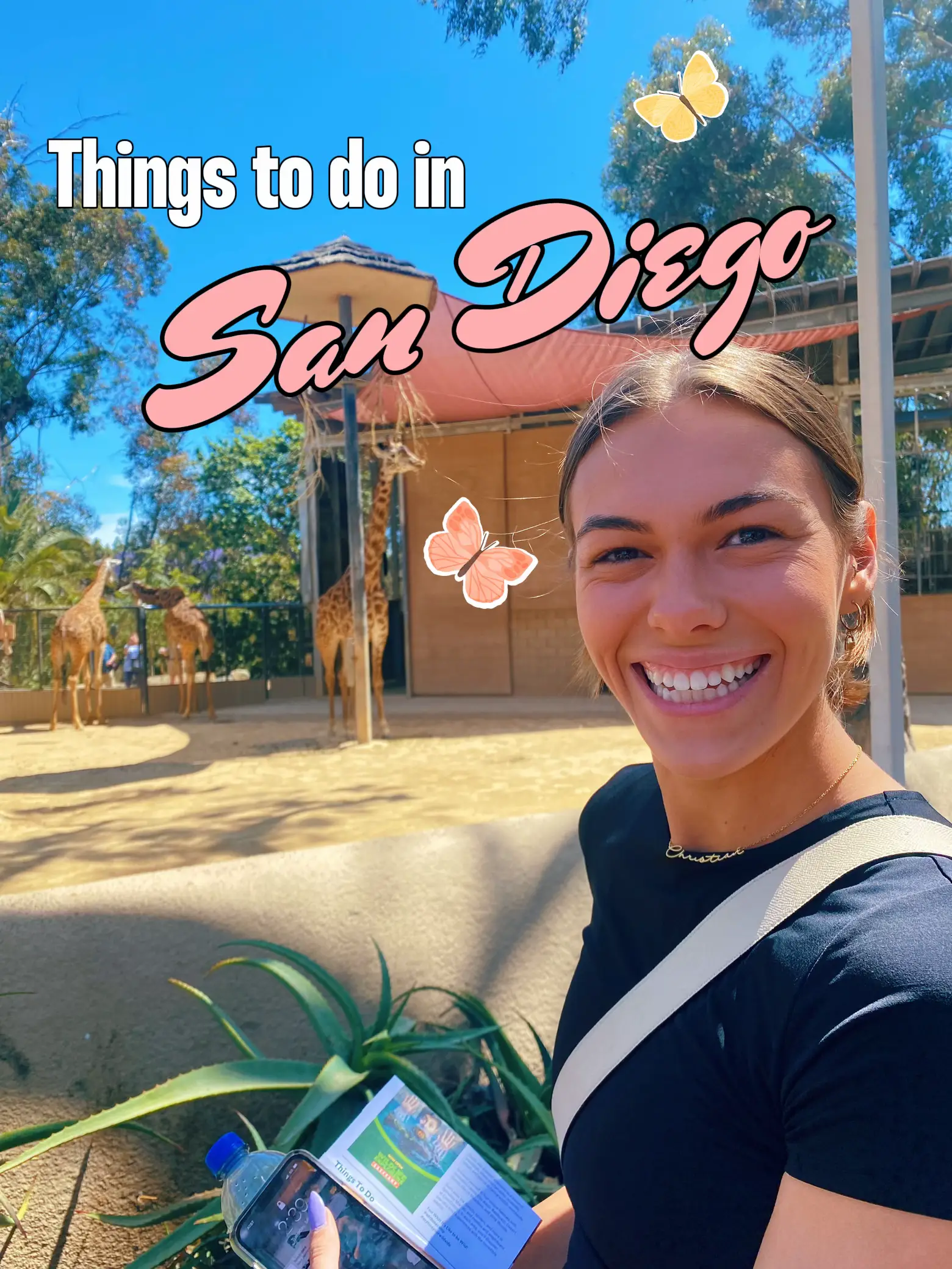 Things to do in San Diego Gallery posted by kellydean Lemon8